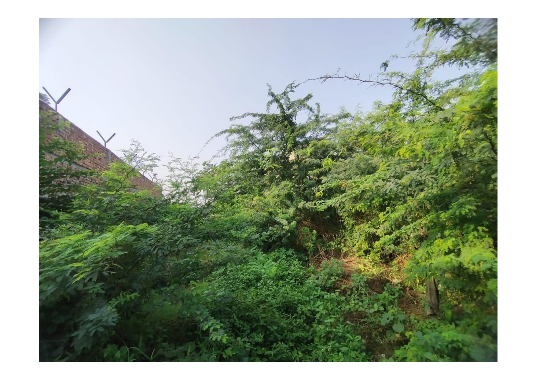 8000 square meter Industrial Plot for sale in Bhiwadi — photo 3