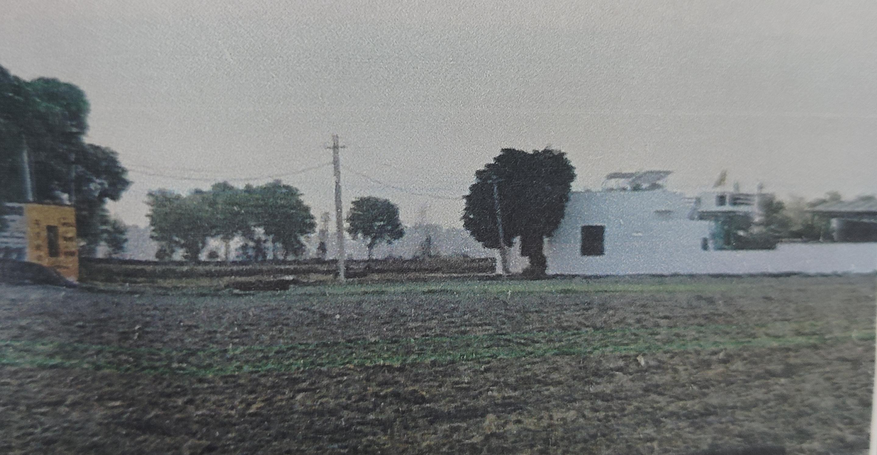 Agriculture Land for sale in RURAL Nilokheri — photo 1