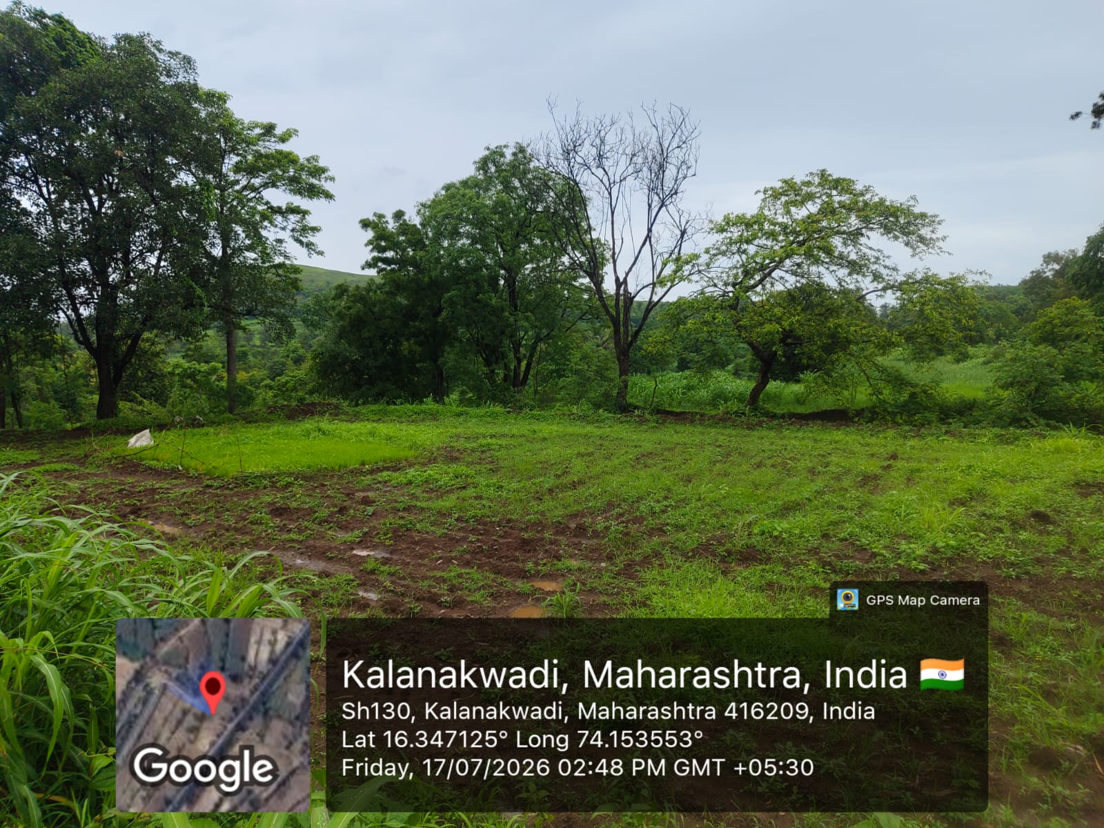 2995 square meter Plot for sale in Gargoti