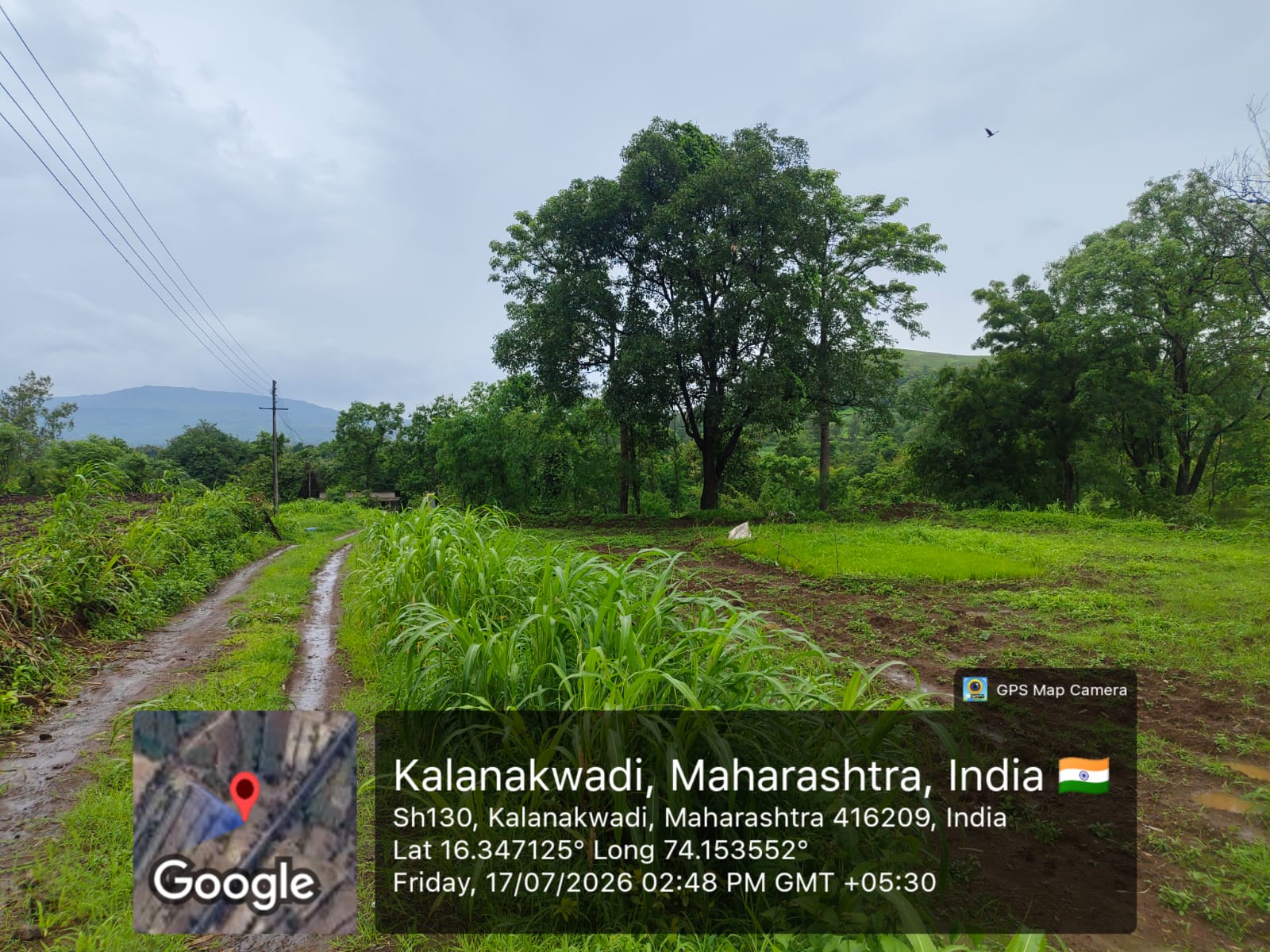 2995 square meter Plot for sale in Gargoti — photo 3