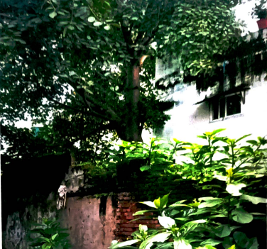 770 square feet Plot for sale in DURG Bhilai — photo 3