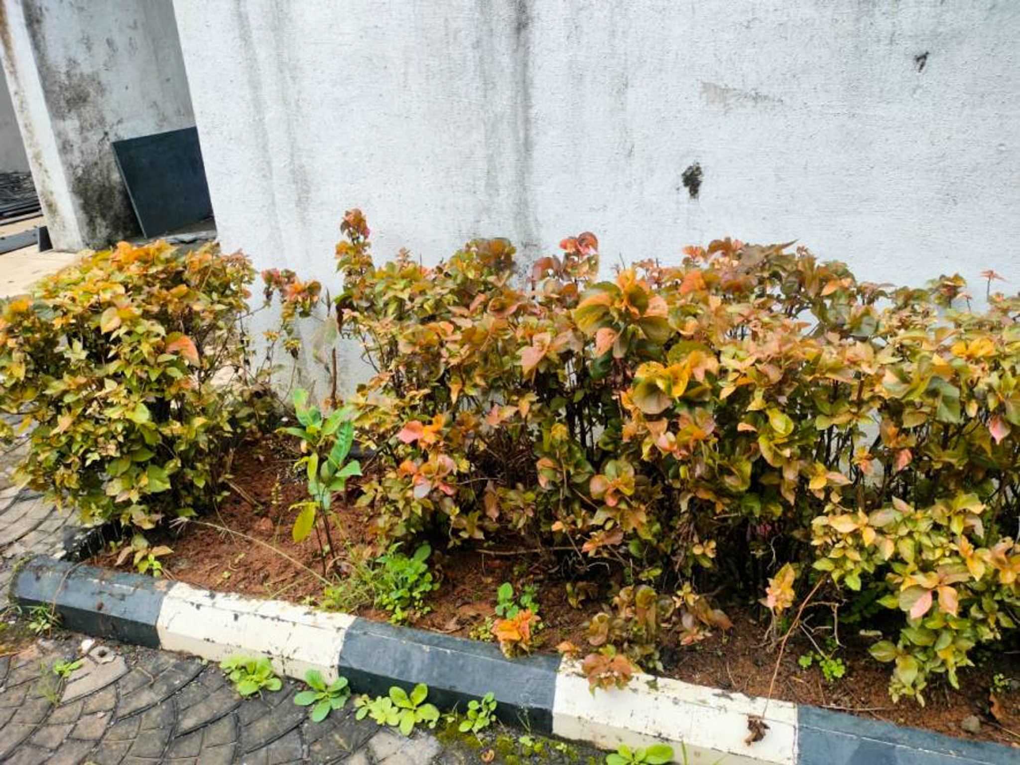 1127 square feet Villa for sale in The White Villas Project, Village - Kalamgaon, Taluka - Shahapur, District – Thane Asangaon — photo 6