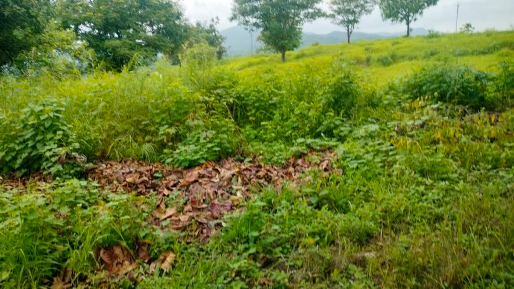 1127 square feet Villa for sale in The White Villas Project, Village - Kalamgaon, Taluka - Shahapur, District – Thane Asangaon — photo 18