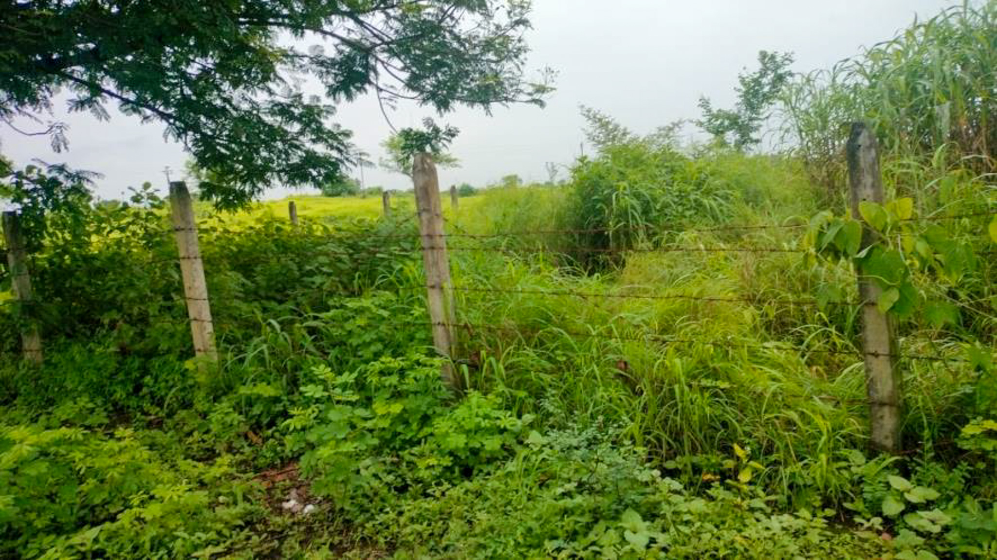 1127 square feet Villa for sale in The White Villas Project, Village - Kalamgaon, Taluka - Shahapur, District – Thane Asangaon — photo 47