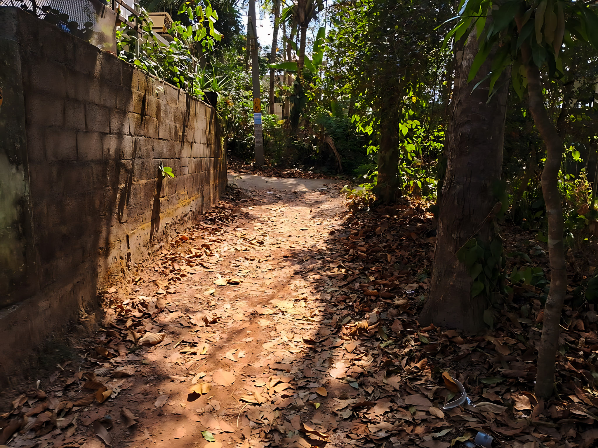 53.77 square meter Individual House for sale in individual residential house, GANDHIPURAM Thiruvananthapuram — photo 5