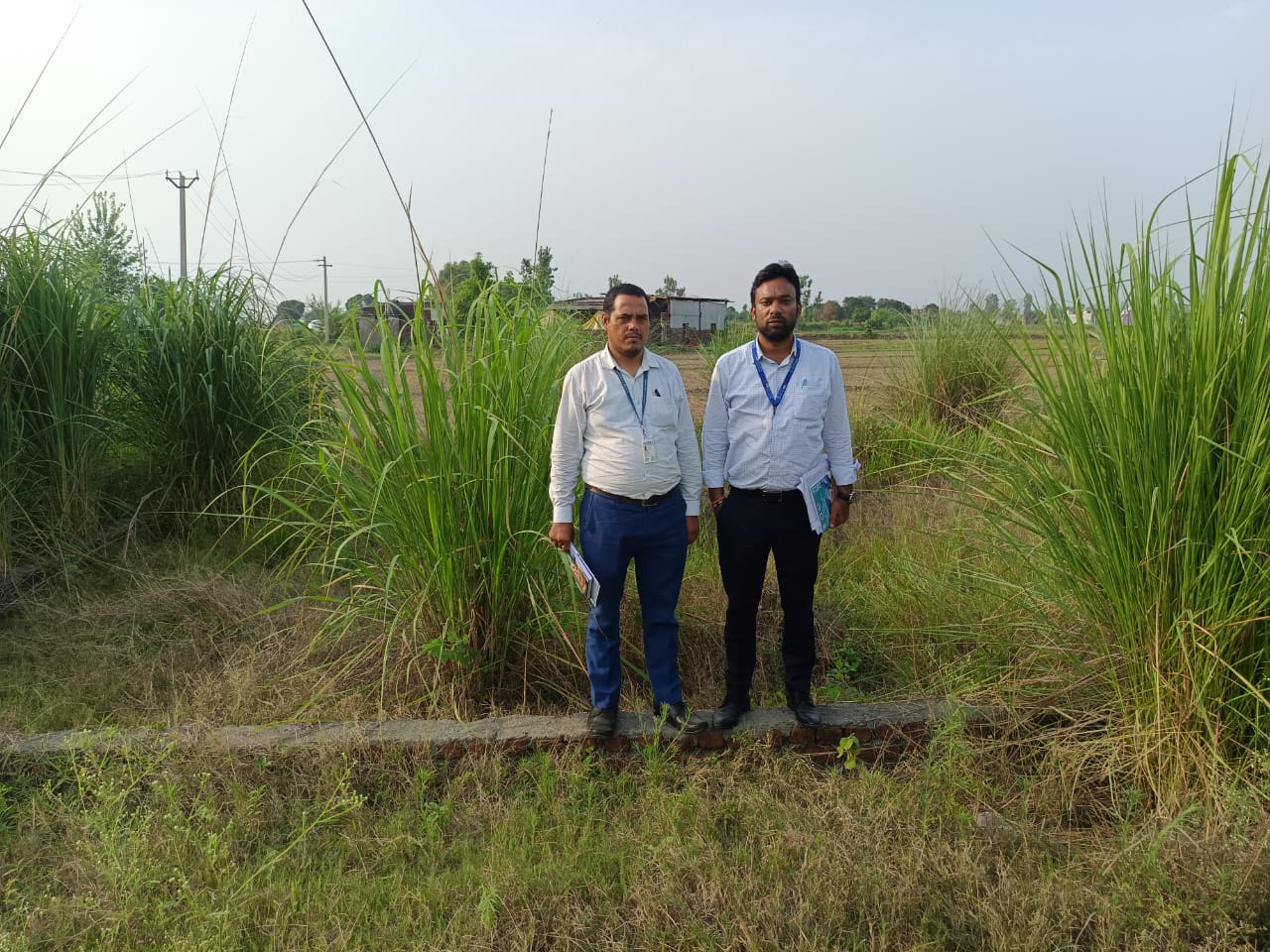 1240 square feet Plot for sale in Rudrapur Dineshpur — photo 1