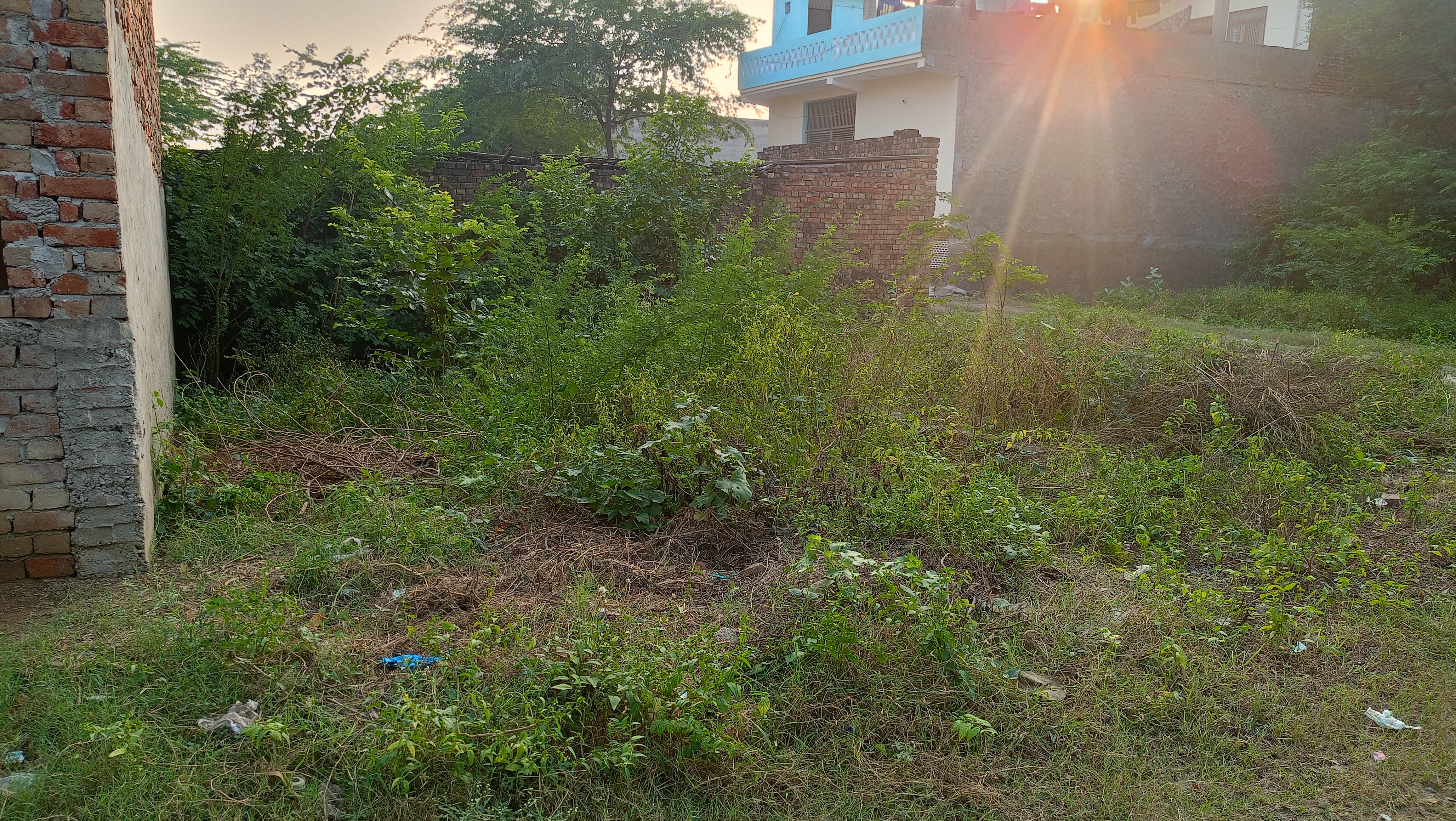 59.47 square meter Plot for sale in Sadabad Sadabad — photo 3