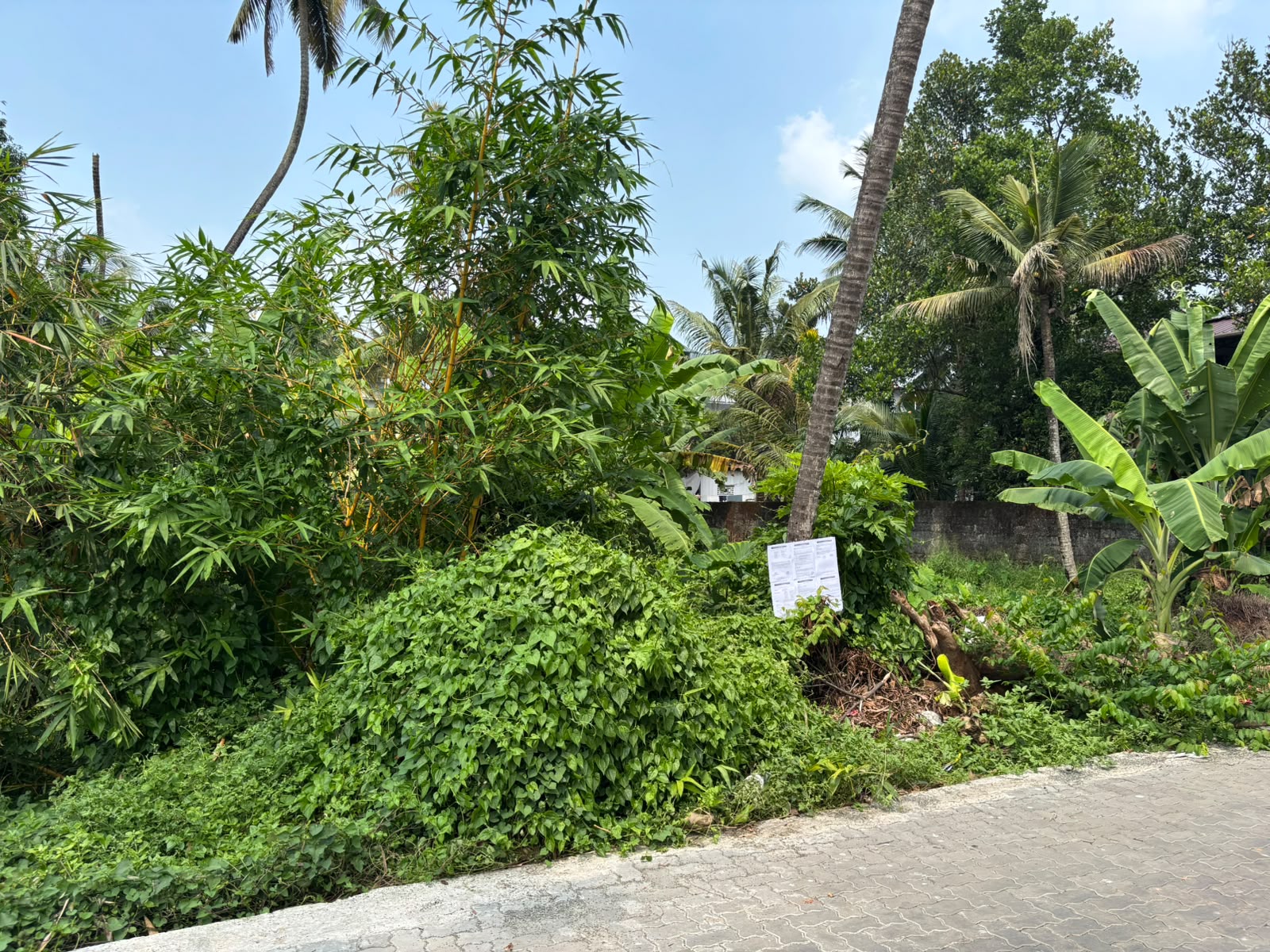 Plot for sale in cheranellur Kochi — photo 1