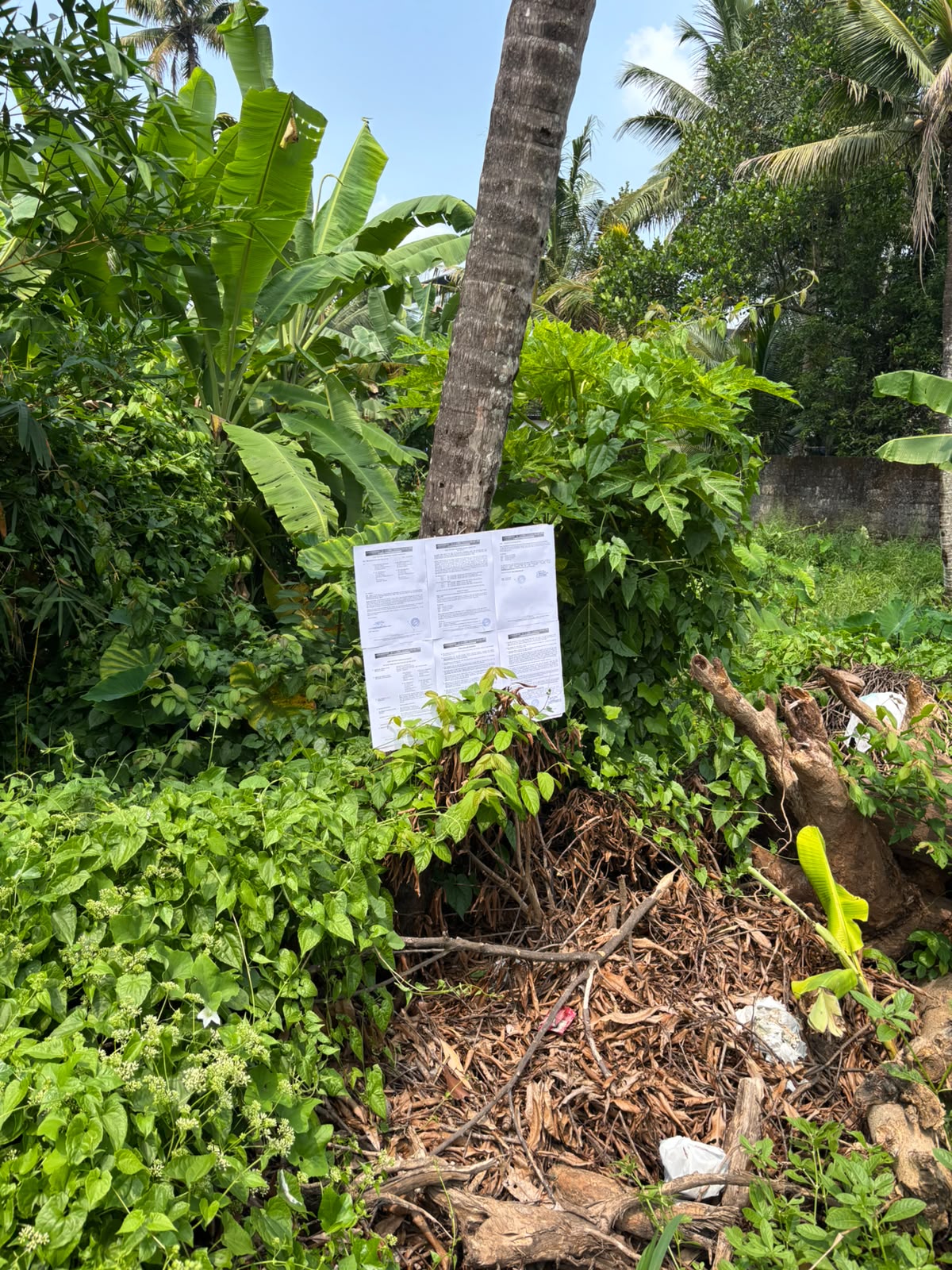 Plot for sale in cheranellur Kochi — photo 2