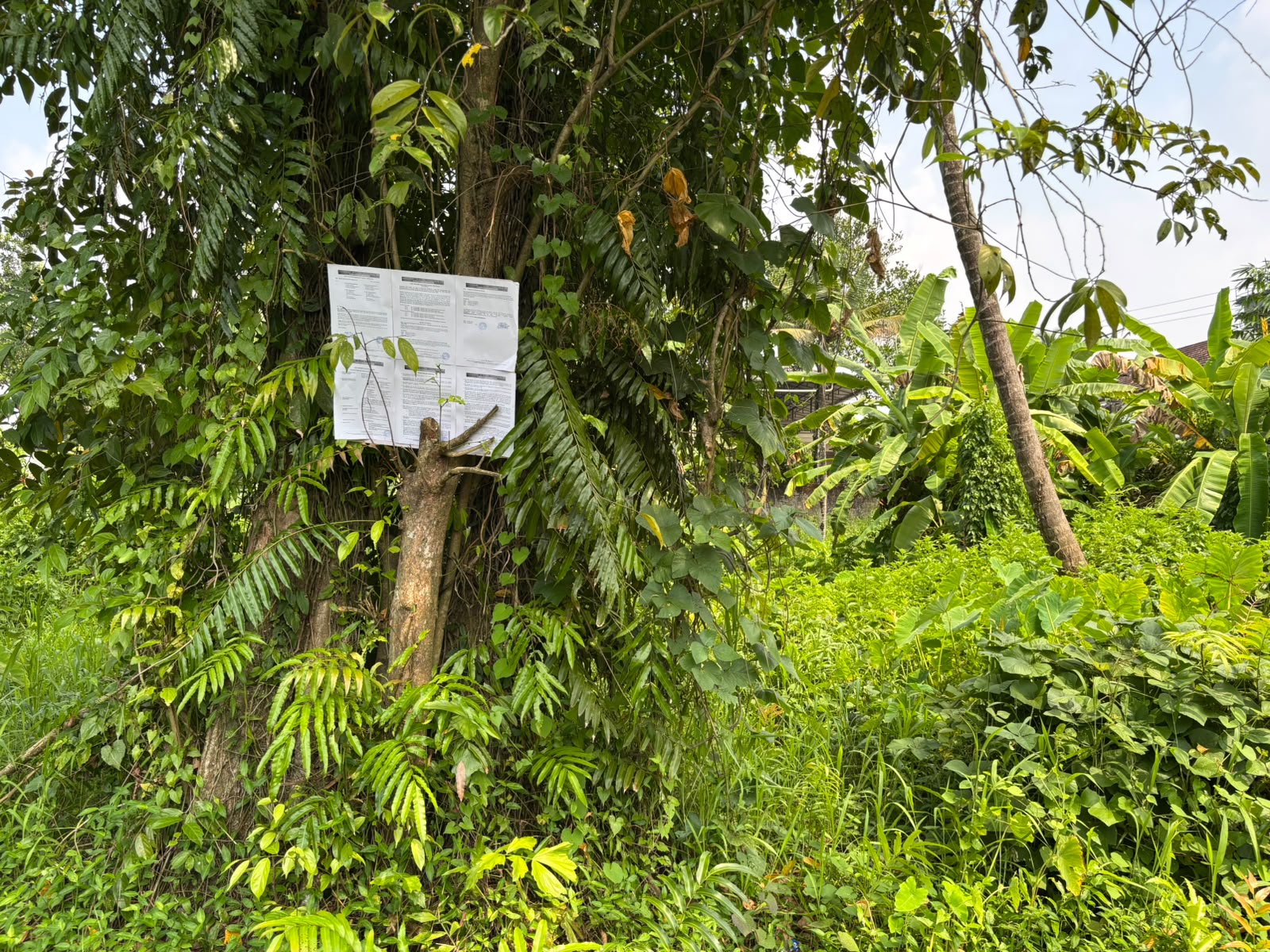 Plot for sale in cheranellur Kochi — photo 3