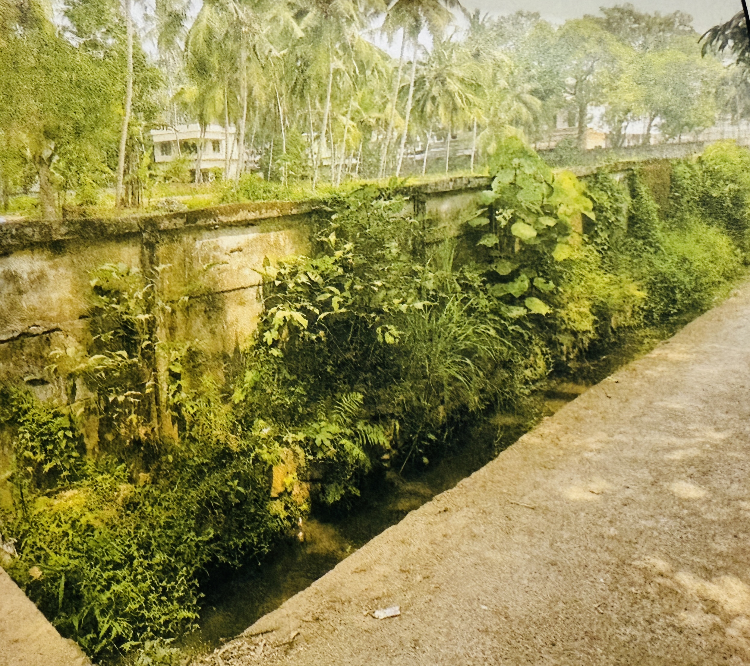 Plot for sale in Vengeri Kozhikode — photo 3