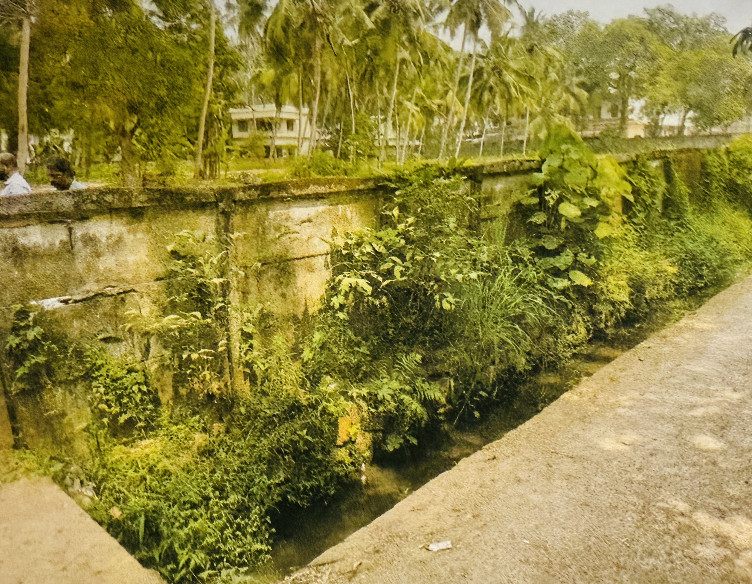 Plot for sale in Vengeri Kozhikode — photo 5