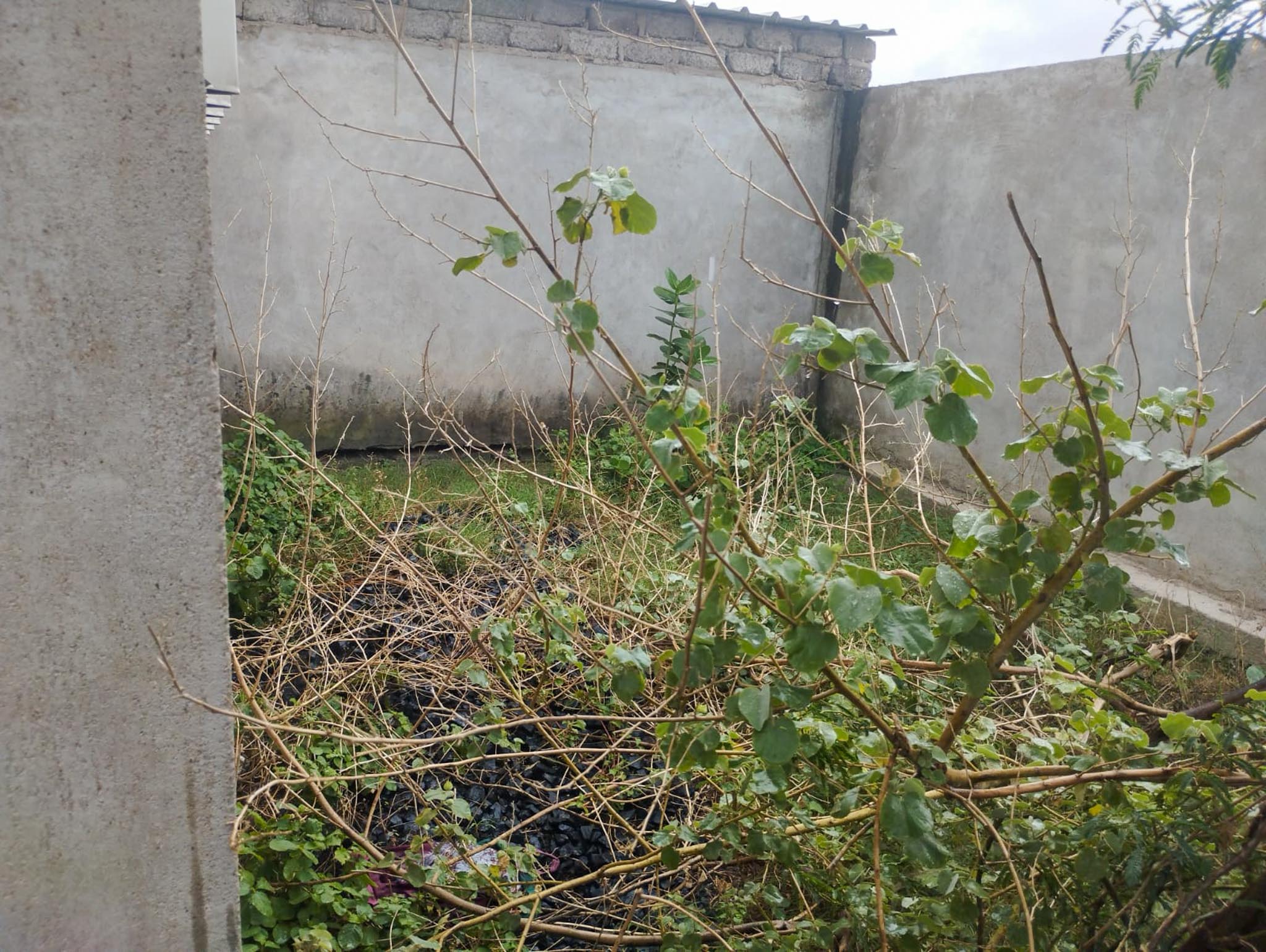 Industrial Plot with Factory Building for sale in Sayla Mujli Road, At : Sayla, Distt. Surendranagar, Mahindra Industrial Park — photo 20