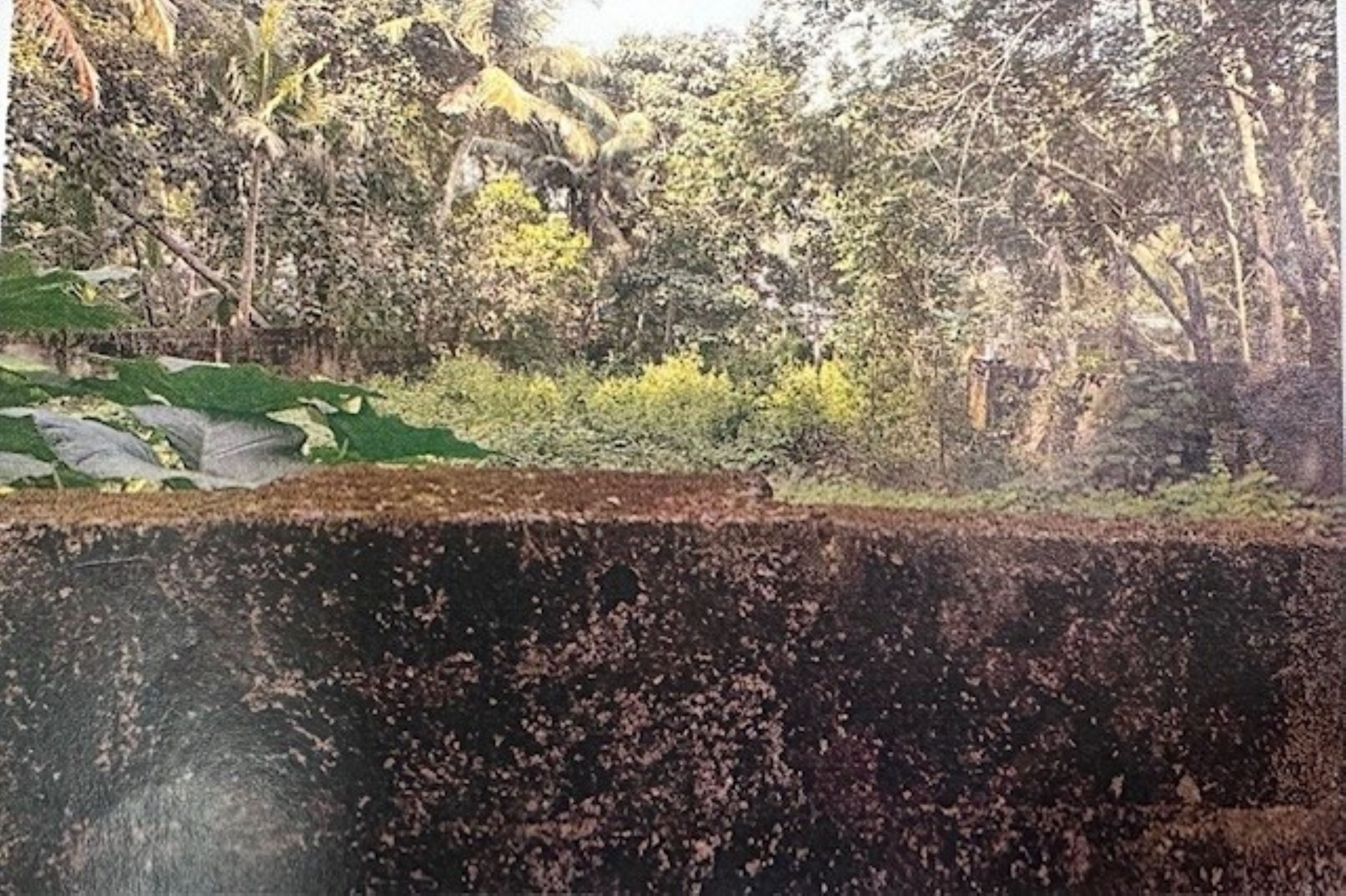 Plot for sale in Thiruvananthapuram — photo 1