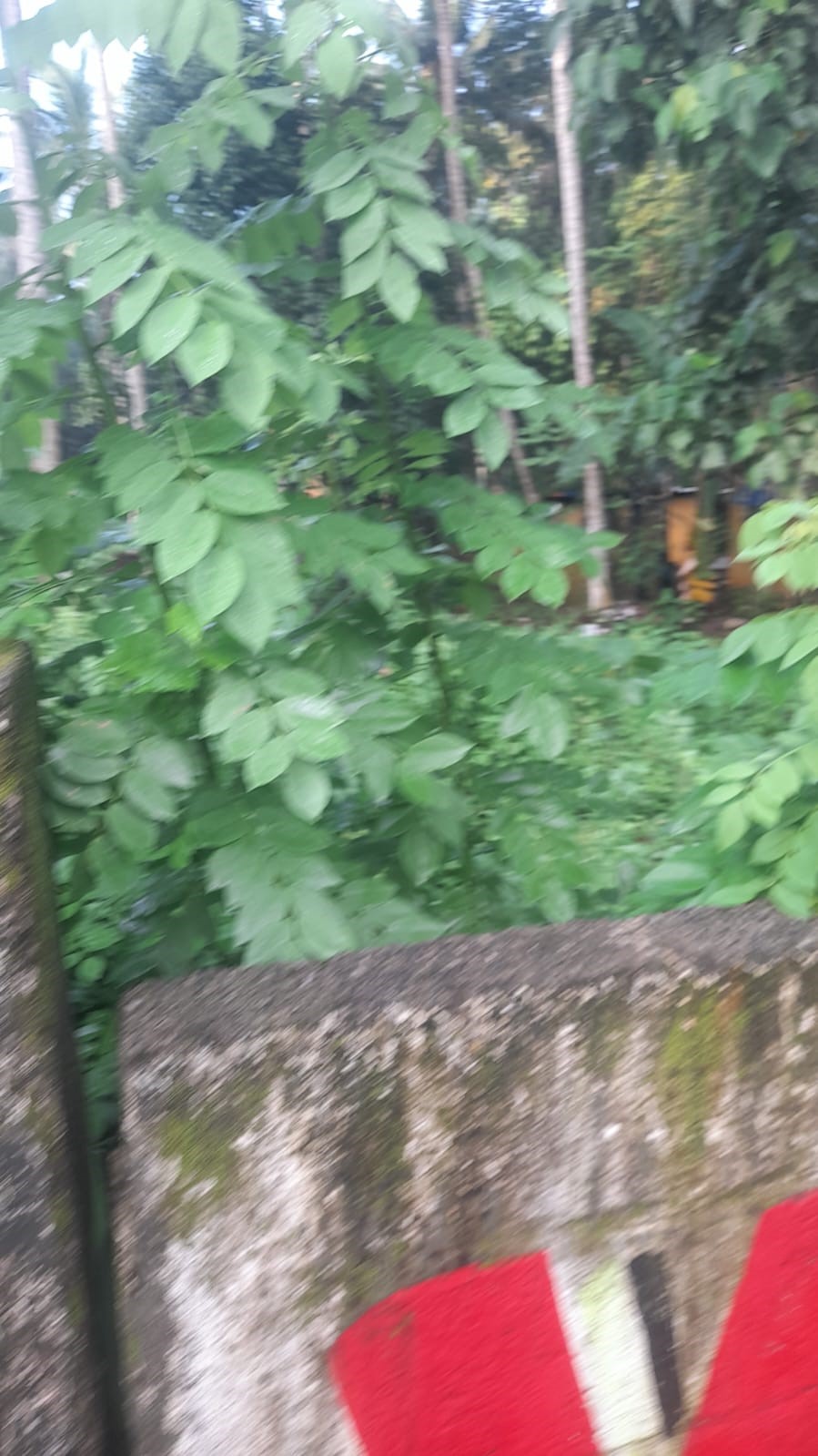 Plot for sale in Thiruvananthapuram — photo 4