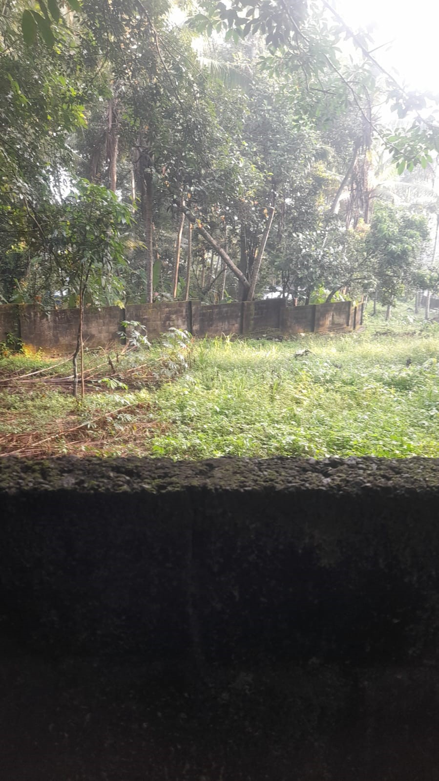 Plot for sale in Thiruvananthapuram — photo 7