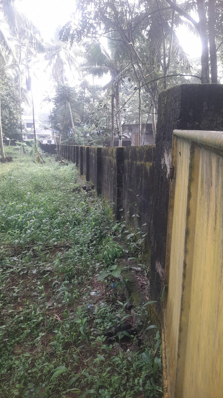 Plot for sale in Thiruvananthapuram — photo 10