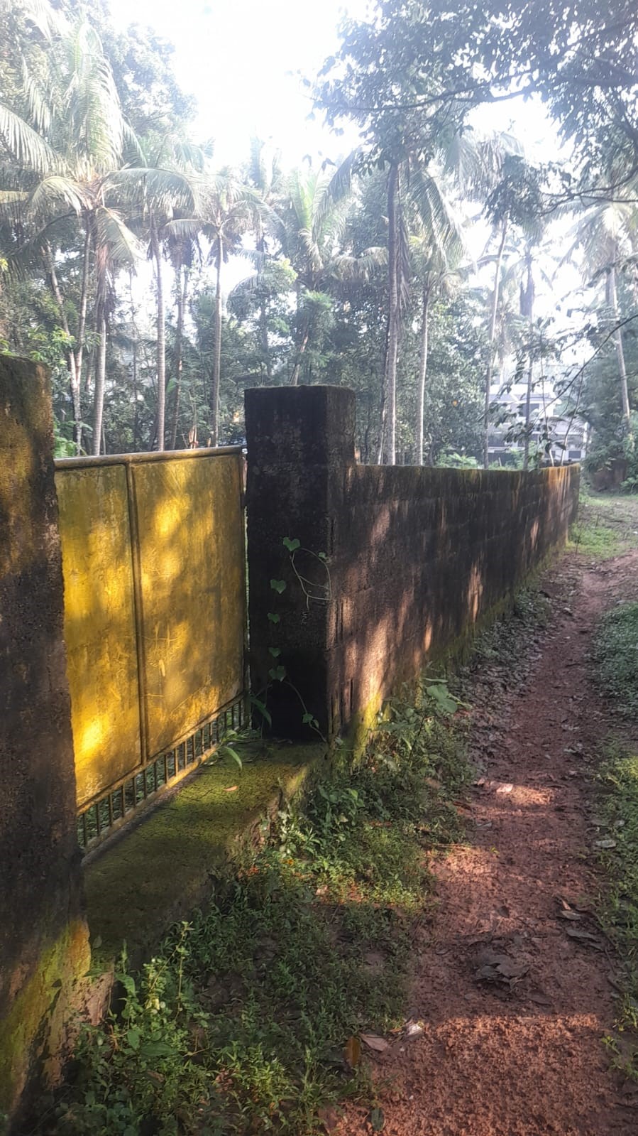 Plot for sale in Thiruvananthapuram — photo 13
