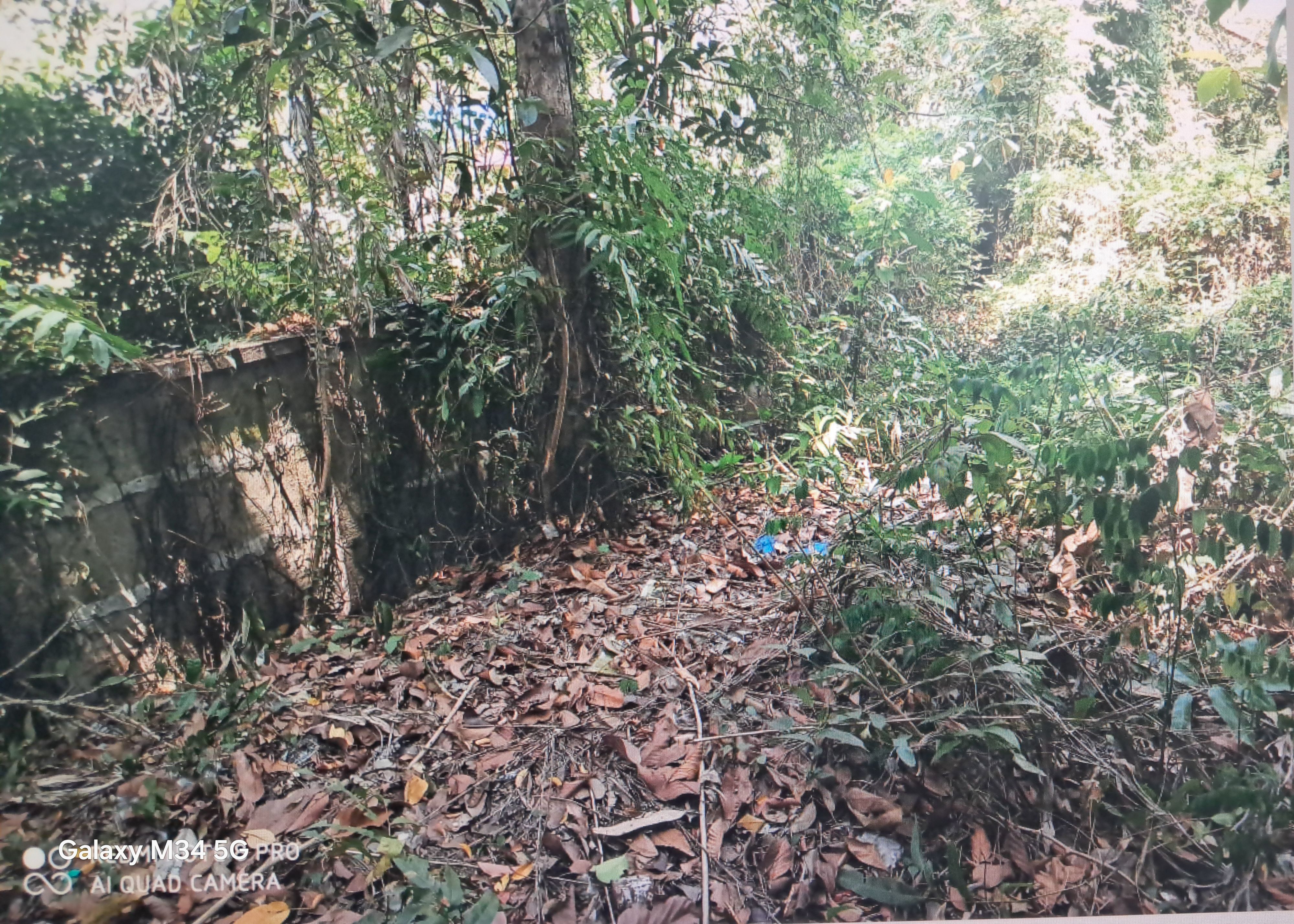 Plot for sale in Cherthala — photo 1