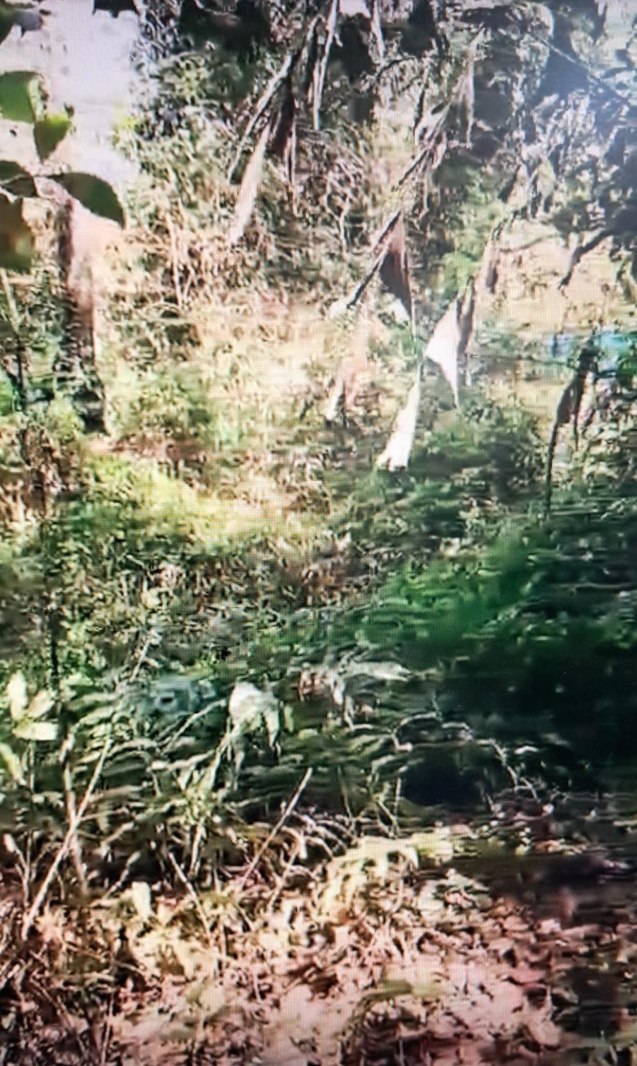 Plot for sale in Cherthala — photo 2