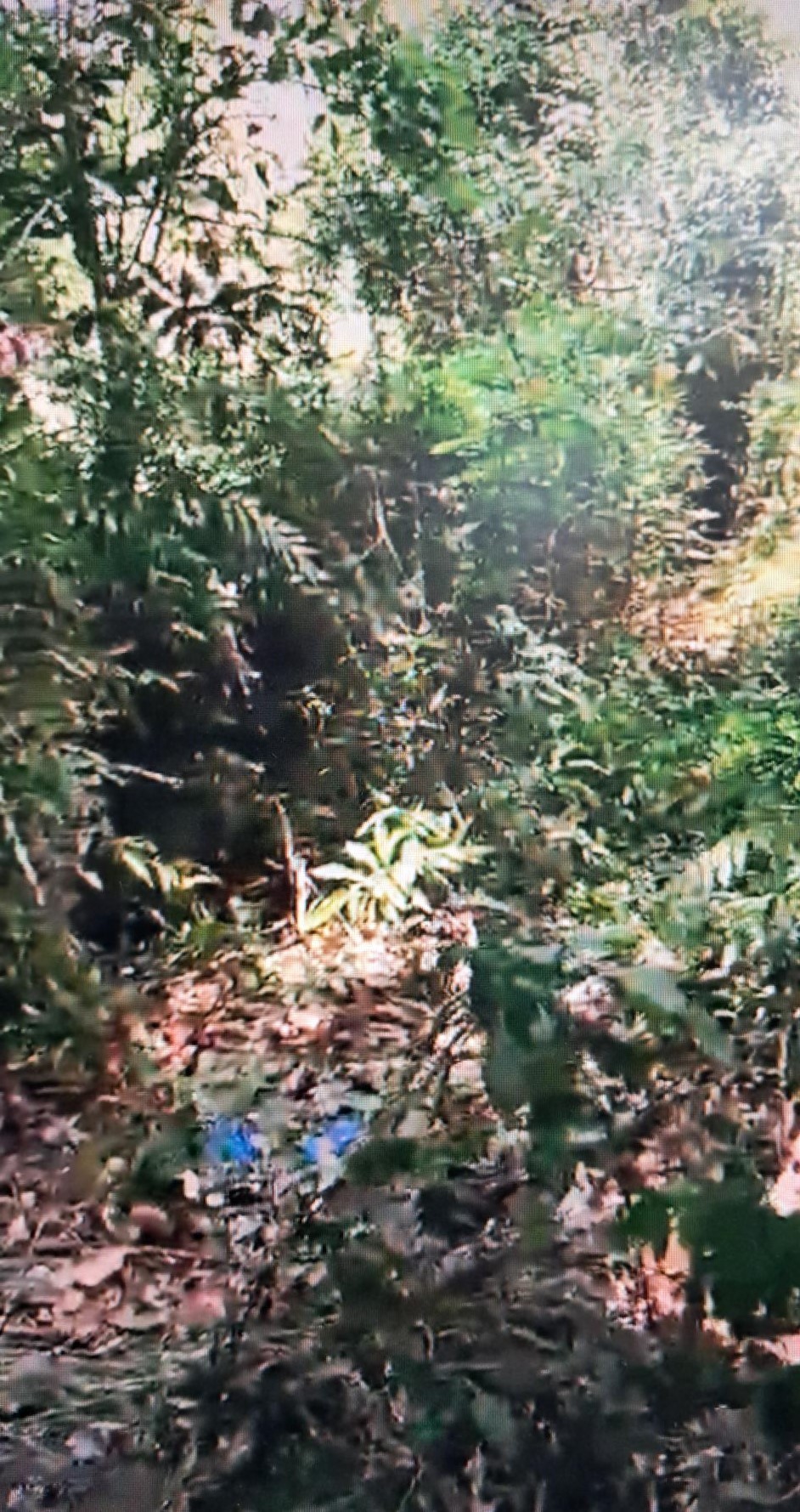 Plot for sale in Cherthala — photo 4