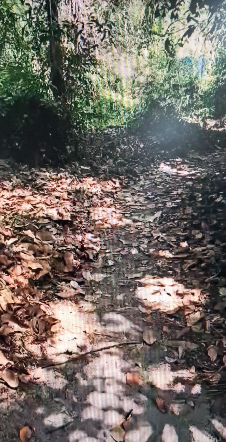 Plot for sale in Cherthala — photo 7
