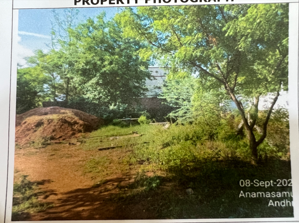 240 square yard Plot for sale in Anamasamudram Gram Panchayat Nellore — photo 1