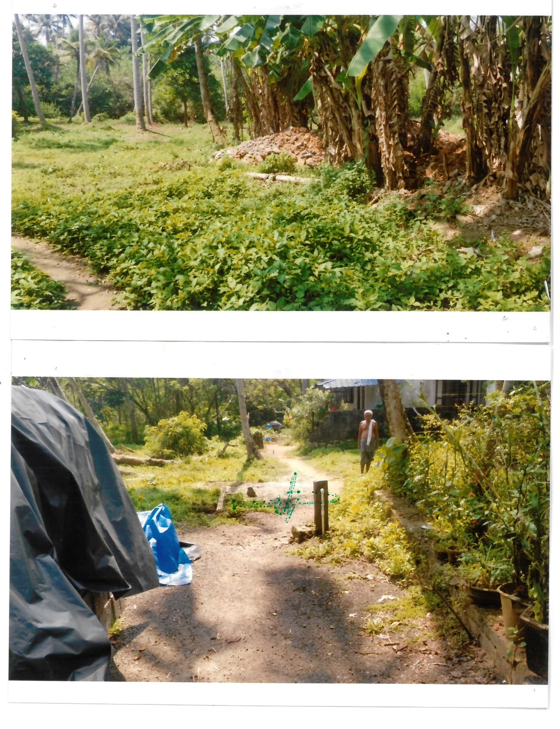 Other for sale in Chirayinkeezhu Attingal — photo 1