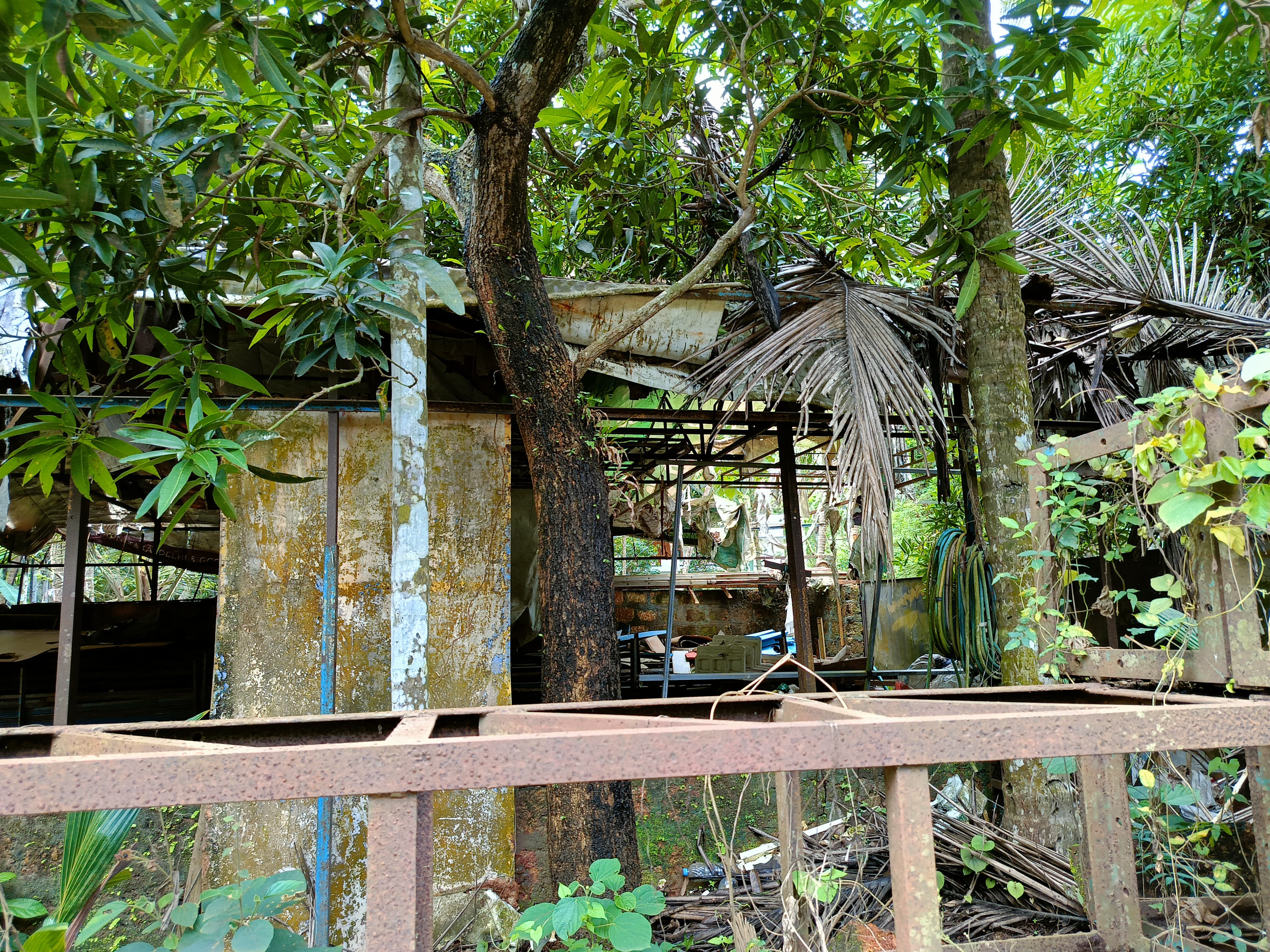 Plot for sale in Chelannur — photo 1