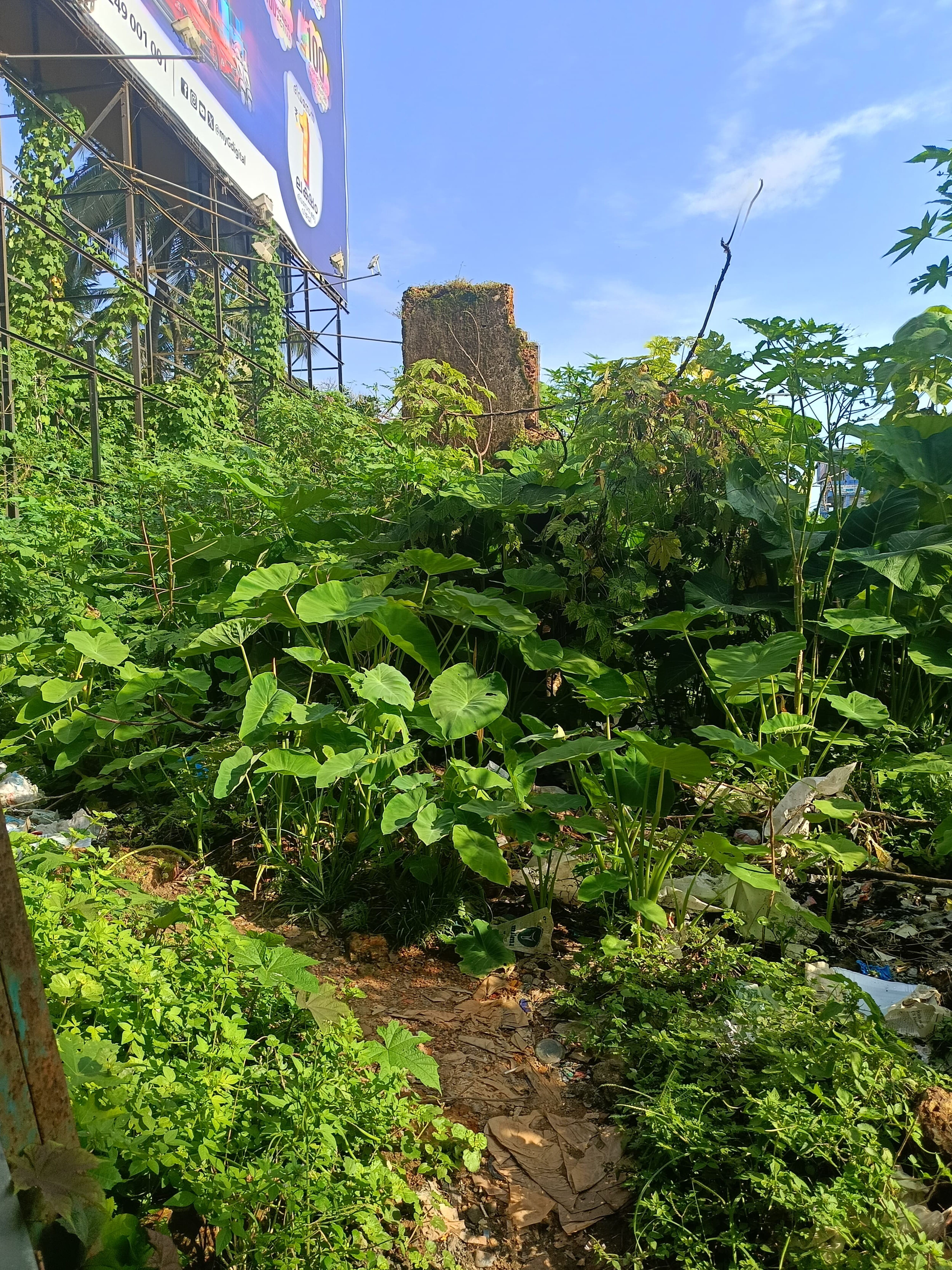 Plot for sale in KOZHIKODE Kozhikode — photo 2