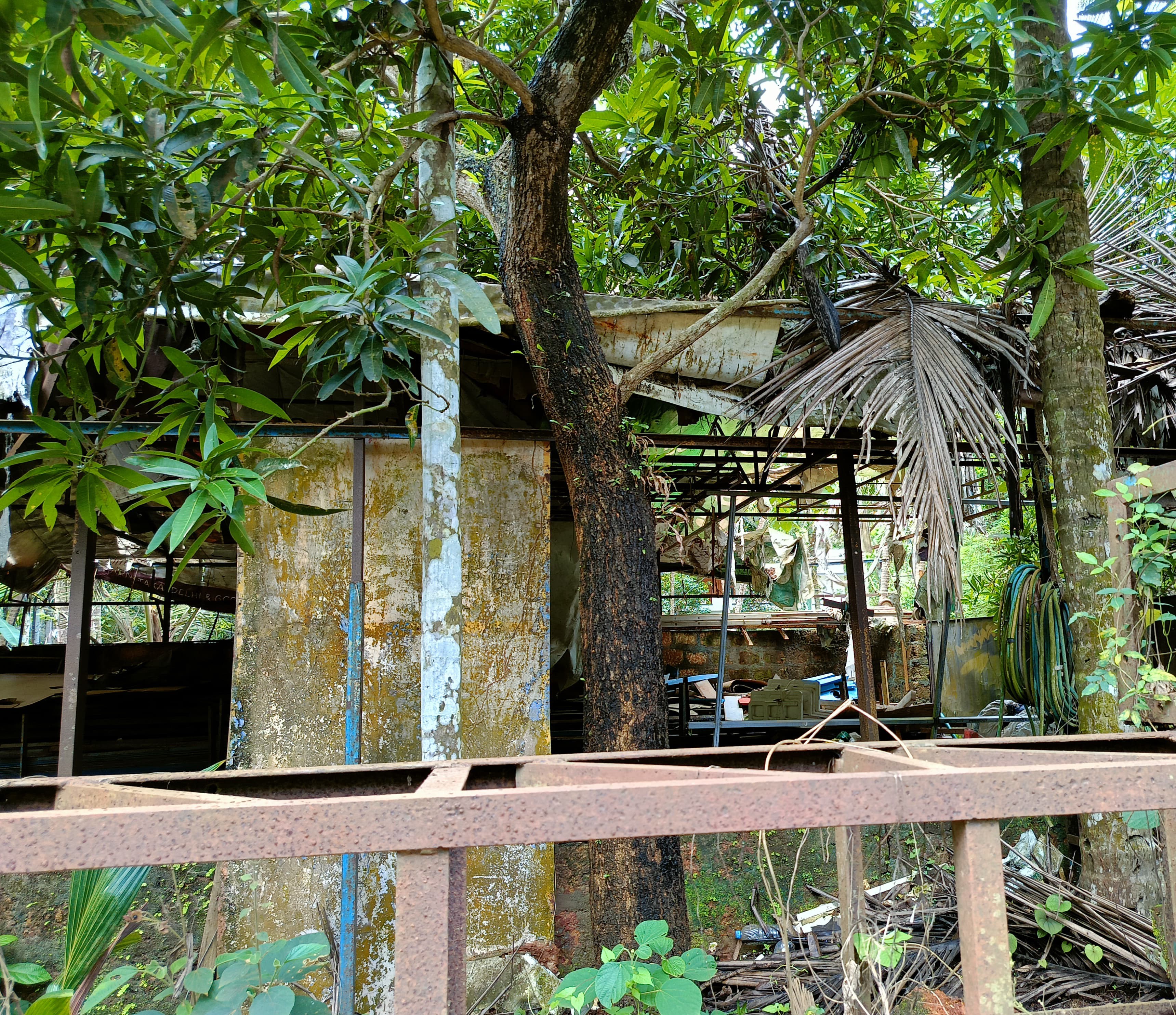 Plot for sale in Chelannur — photo 3
