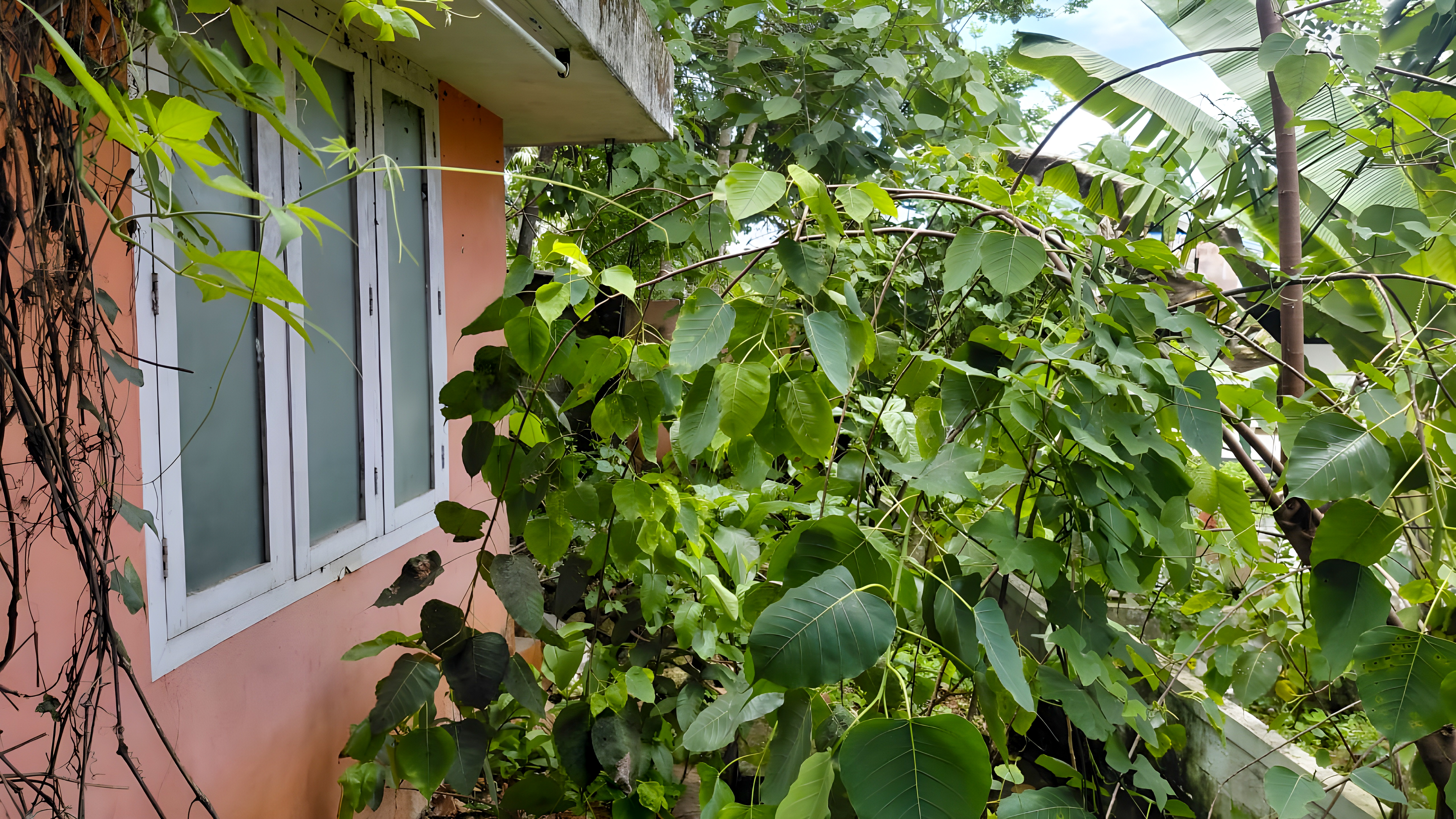 8712 square feet Bungalow for sale in Vattiyoorkavu Thiruvananthapuram — photo 1