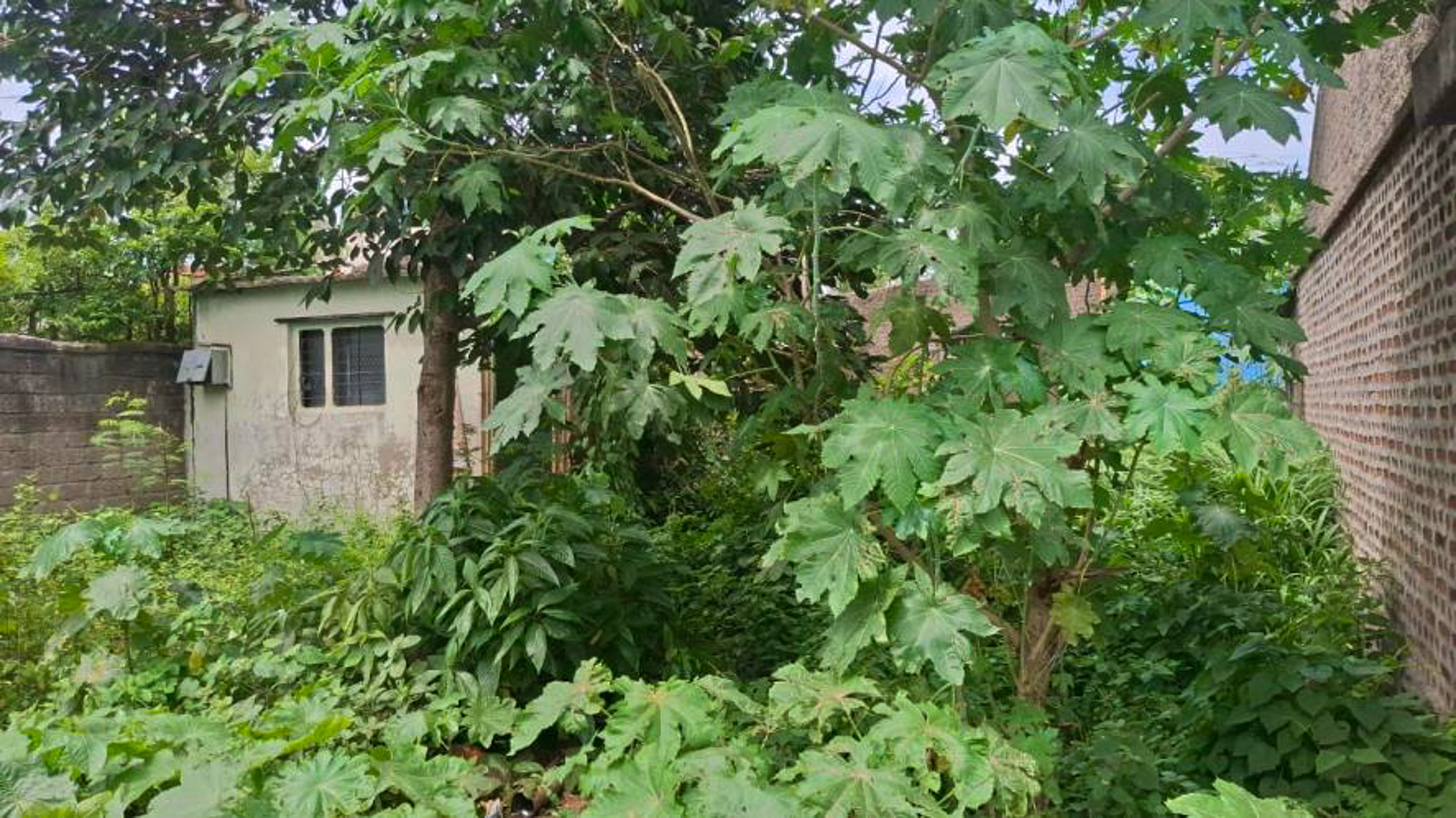 Individual House for sale in Ichalkaranji — photo 1