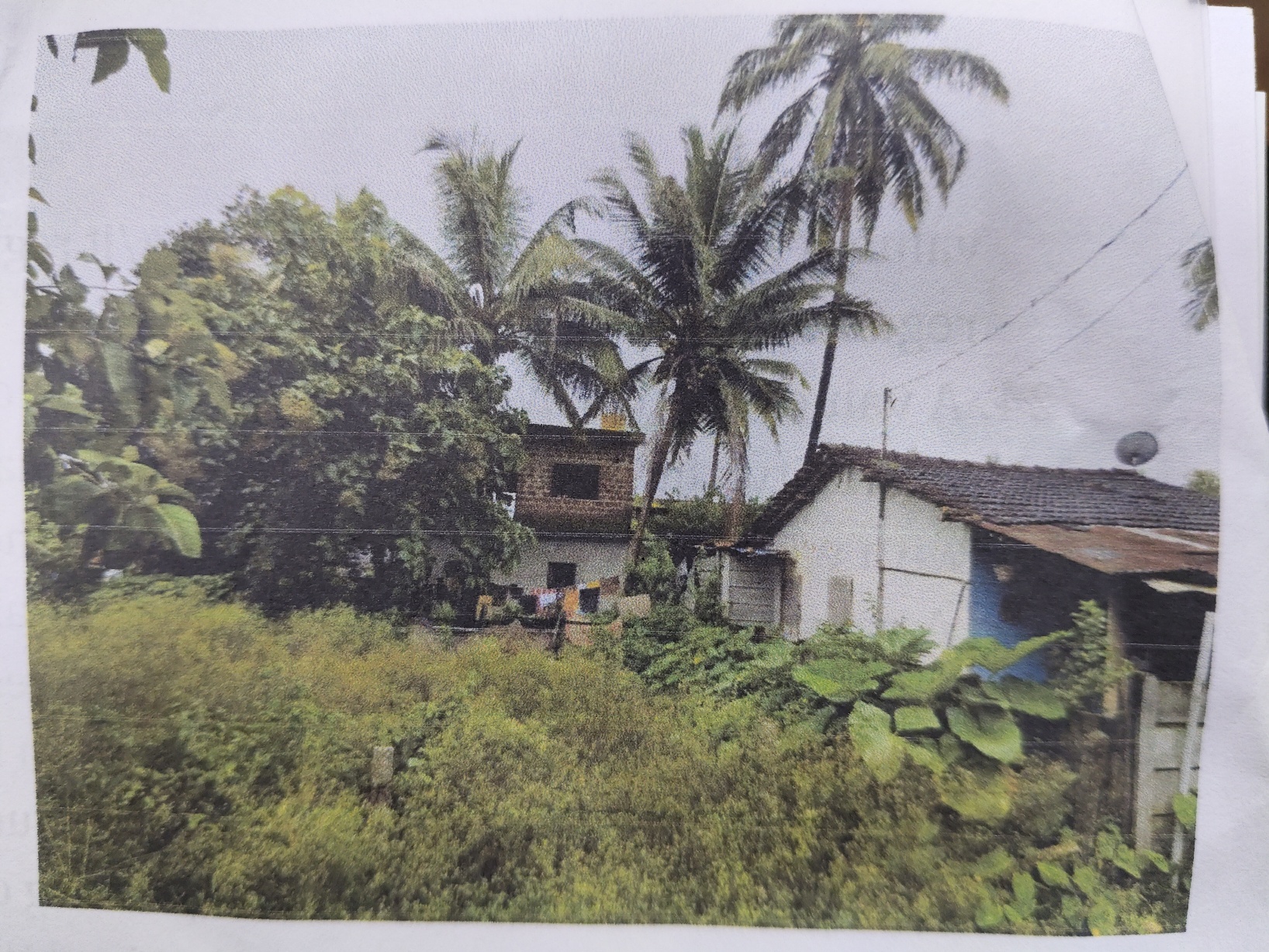 2862 square feet Plot for sale in Sagar — photo 3