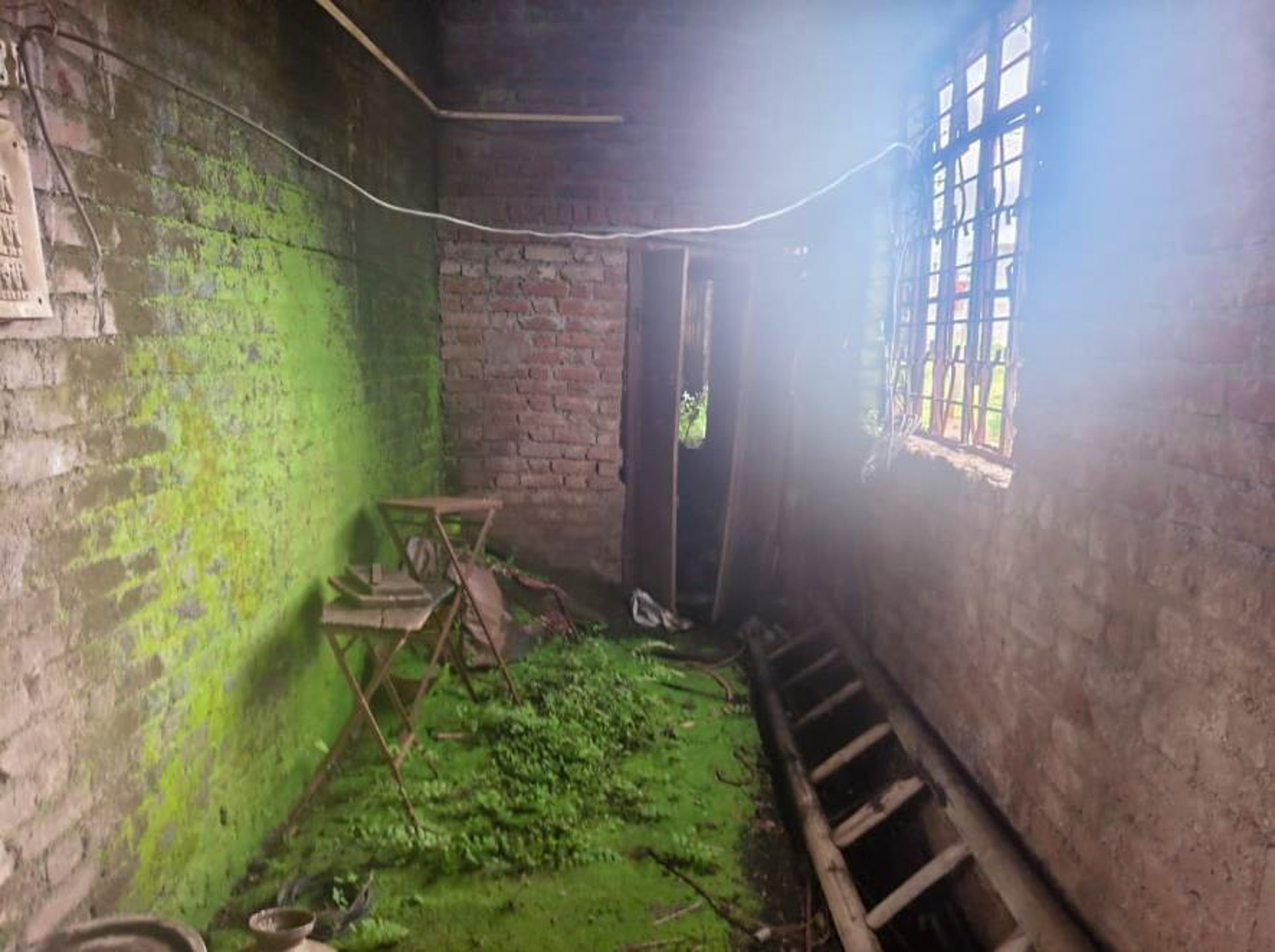 Office for sale in Palus — photo 10