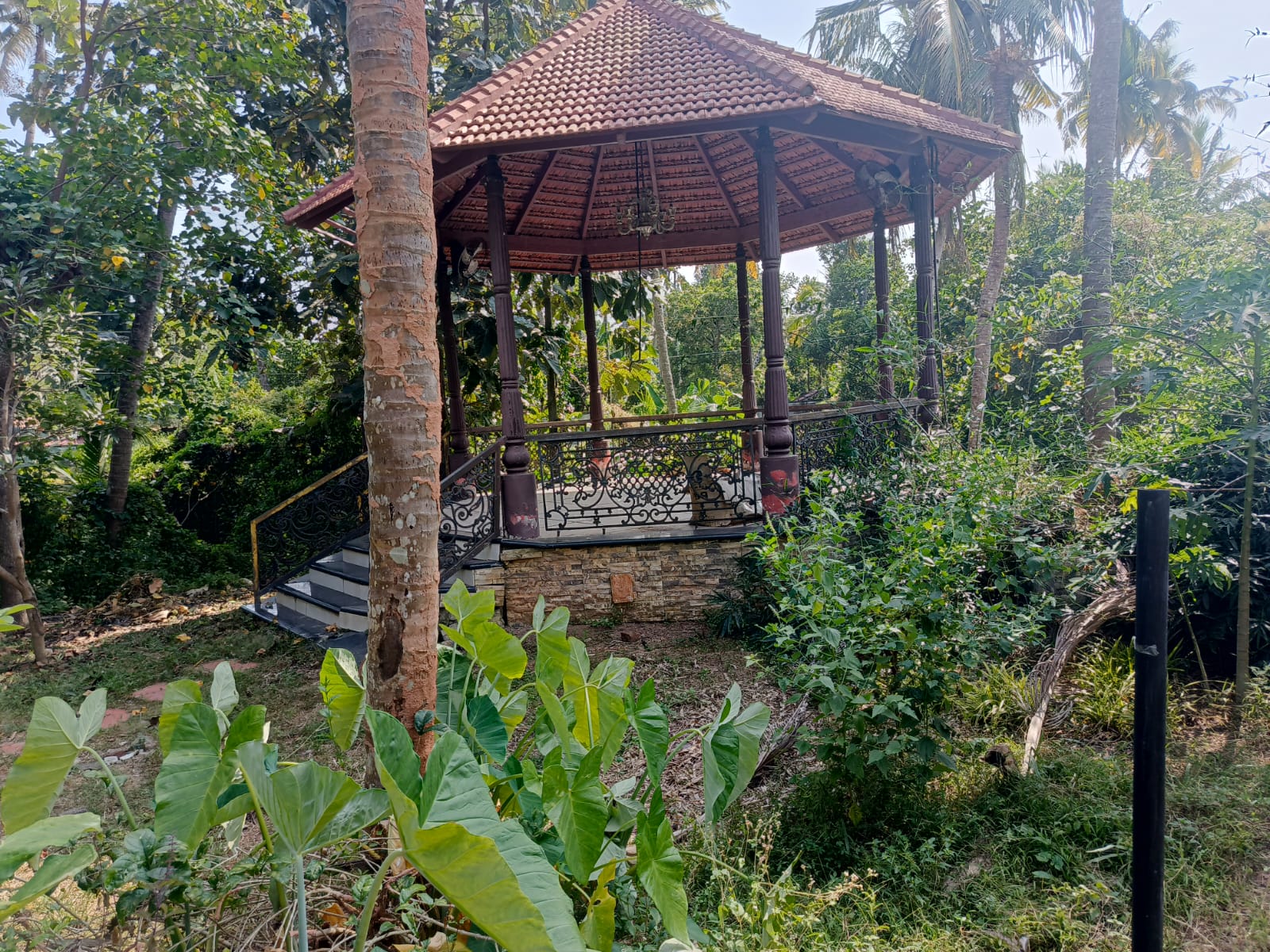 Other for sale in Chirayinkeezhu Attingal — photo 2