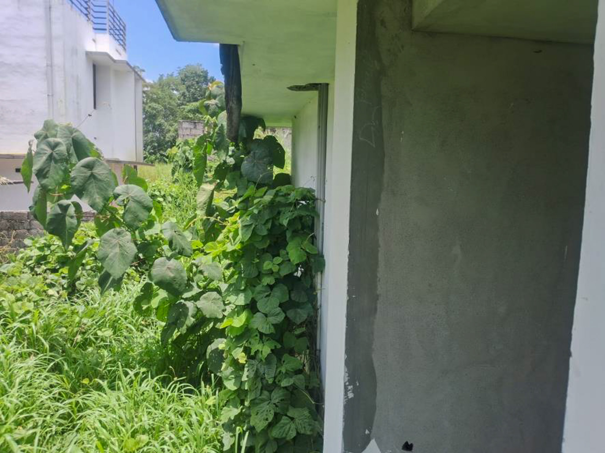 114.31 square meter Individual House for sale in Independent House, Vattakkarikkakam Karakulam — photo 13