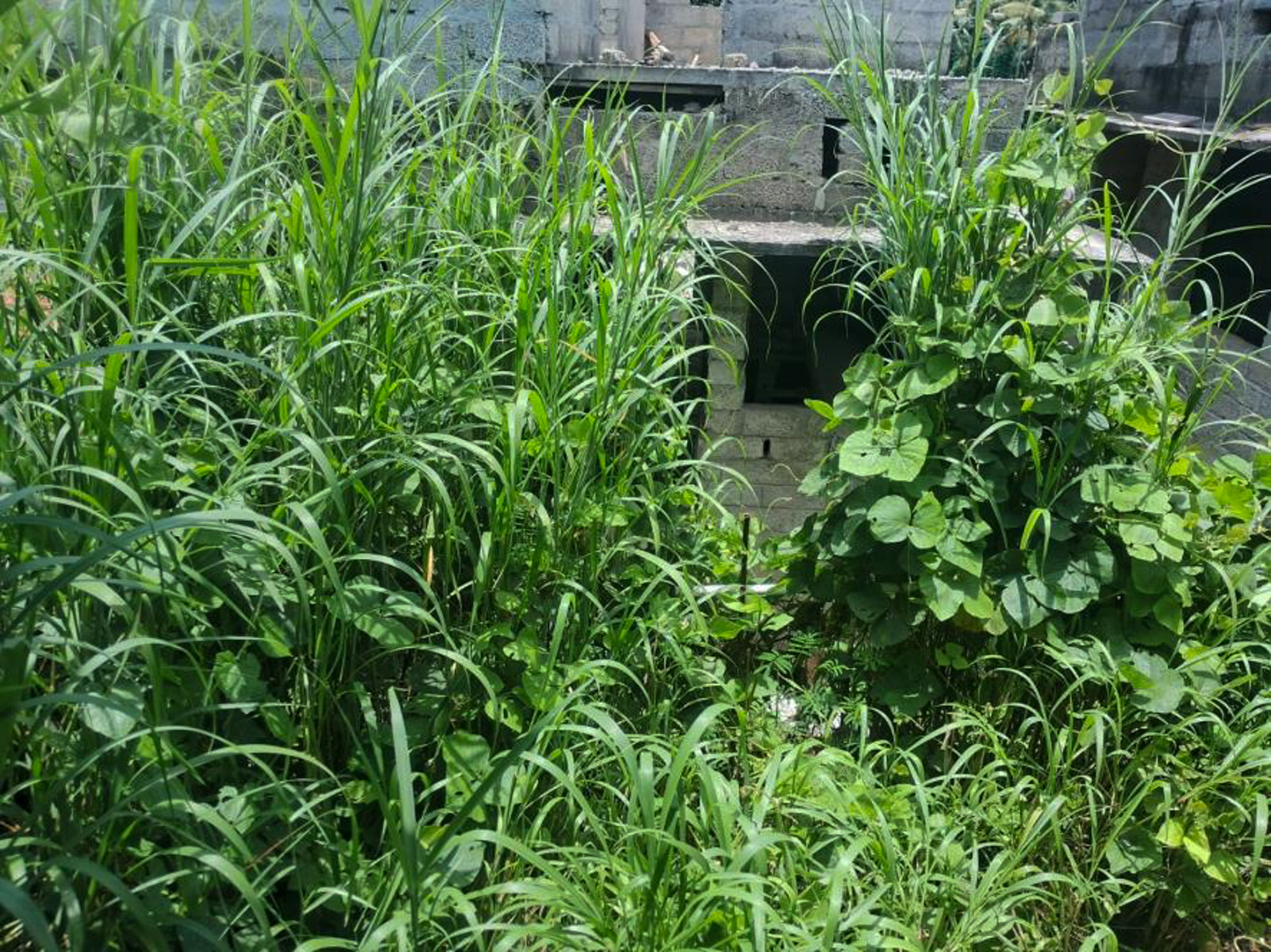 114.31 square meter Individual House for sale in Independent House, Vattakkarikkakam Karakulam — photo 22