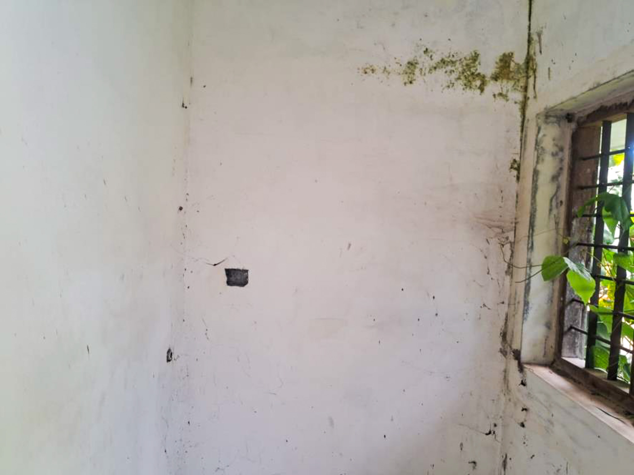 114.31 square meter Individual House for sale in Independent House, Vattakkarikkakam Karakulam — photo 40