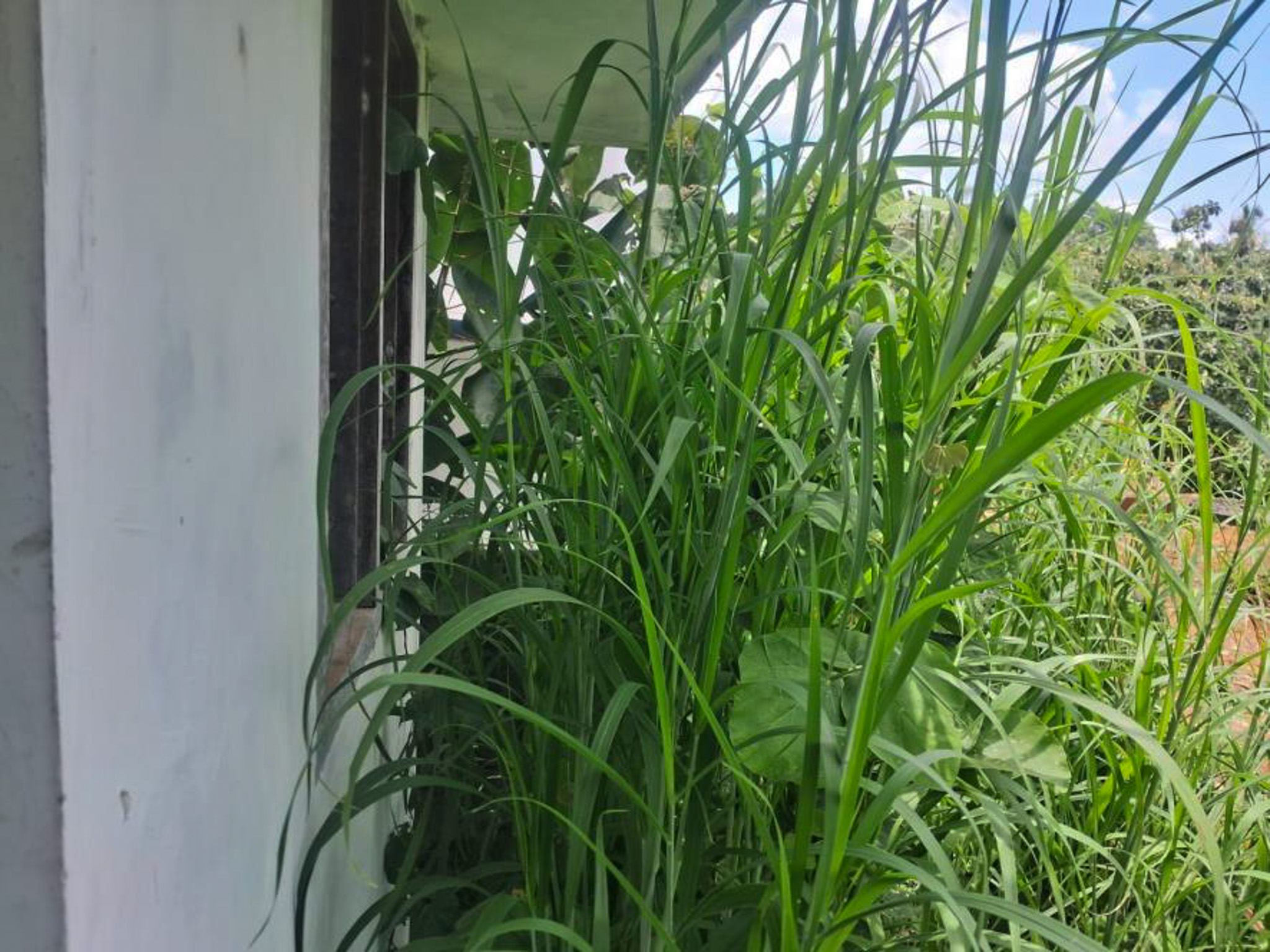 114.31 square meter Individual House for sale in Independent House, Vattakkarikkakam Karakulam — photo 44