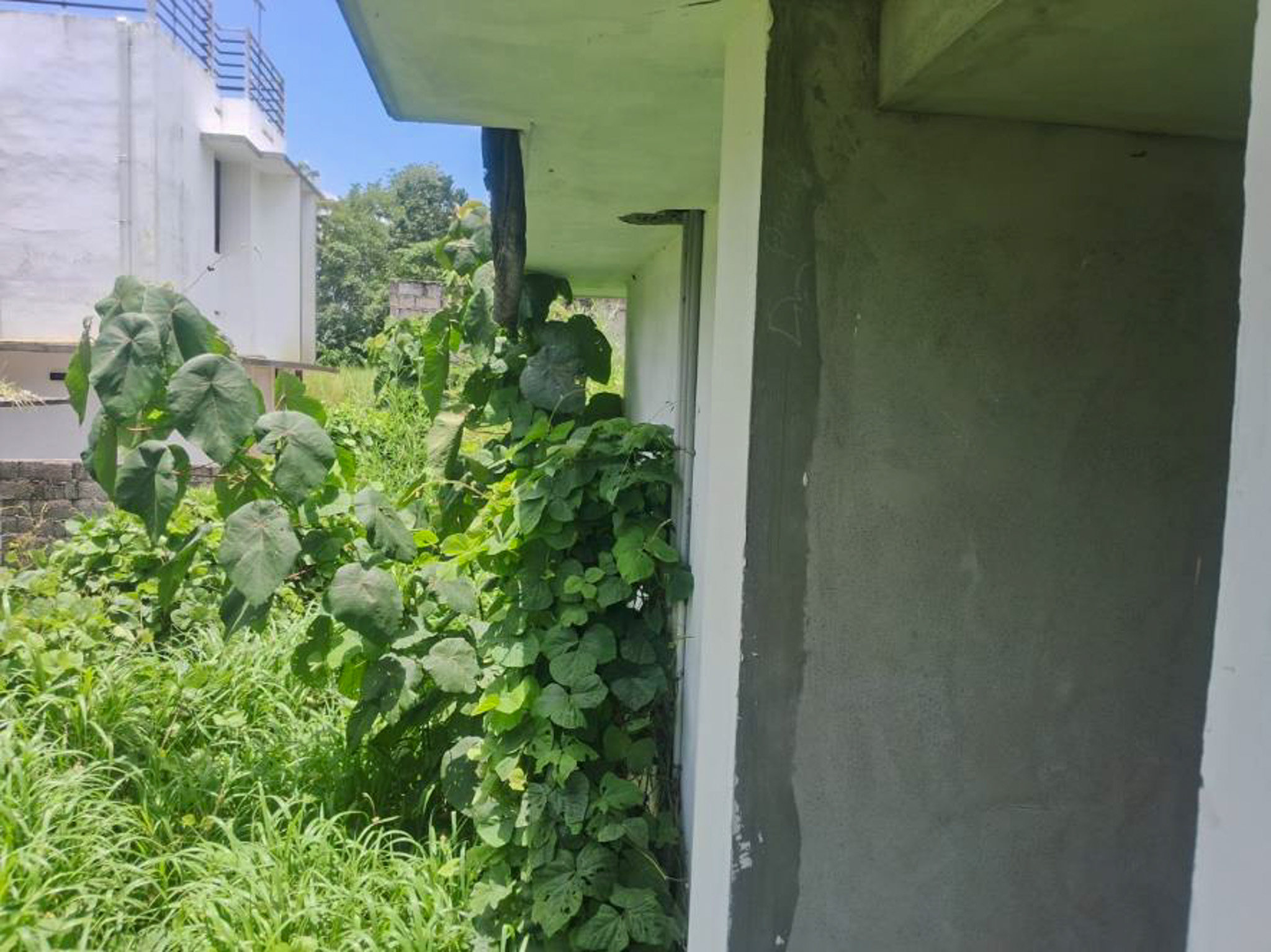 114.31 square meter Individual House for sale in Independent House, Vattakkarikkakam Karakulam — photo 60