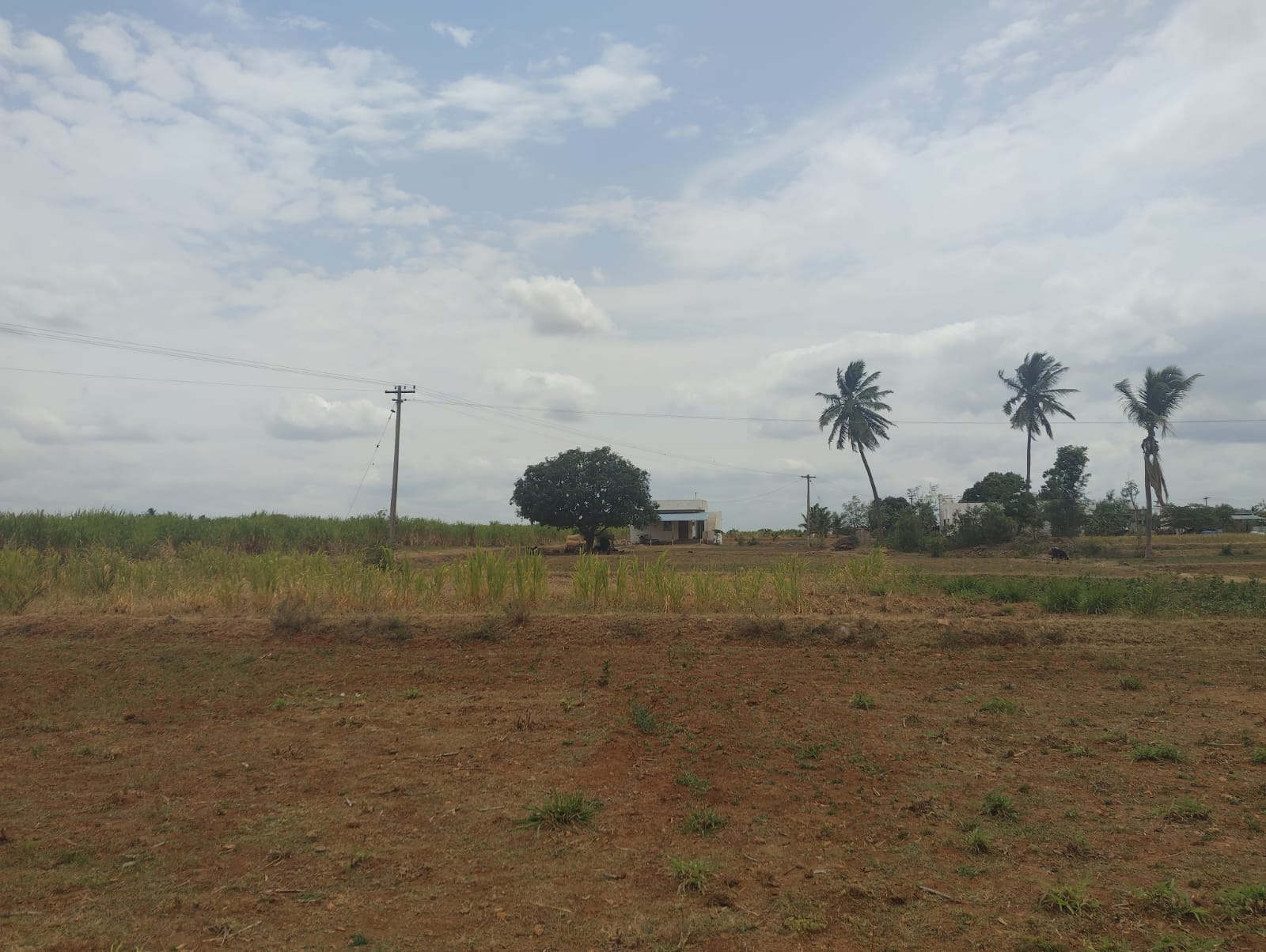 Plot for sale in DHARMAPURI Dharmapuri — photo 1