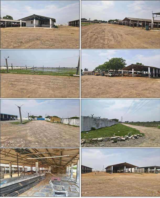 Industrial site in an extent of Ac.5.15 cents, consisting of AC sheet sheds and RCC roof office buildings constructed thereupon for sale in Chilakaluripet — photo 2