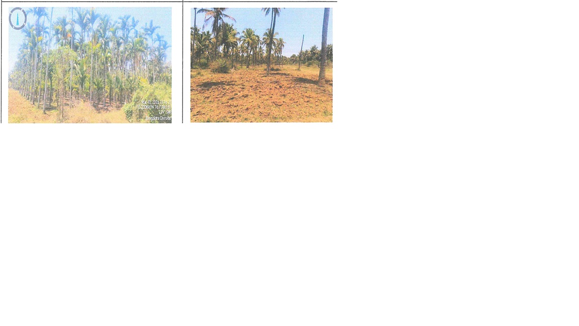 DAIRY SHED AND LABOUR QUARTERS for sale in Beechanahalli Adityapatna — photo 3