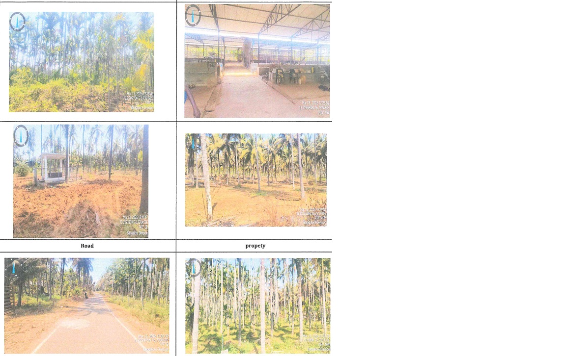 DAIRY SHED AND LABOUR QUARTERS for sale in Beechanahalli Adityapatna — photo 1
