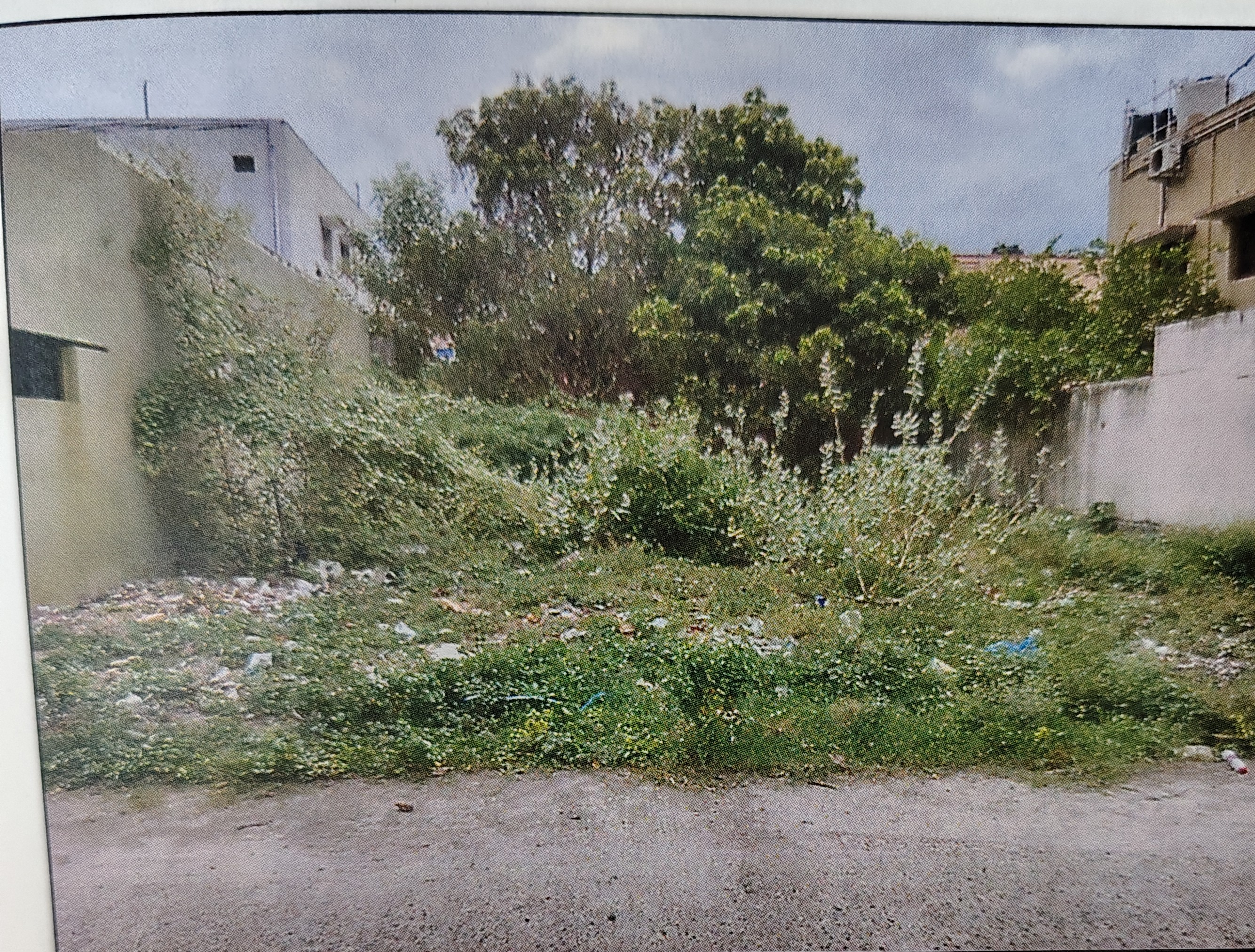 2390 square feet Plot for sale in arokkanam Arakonam — photo 3