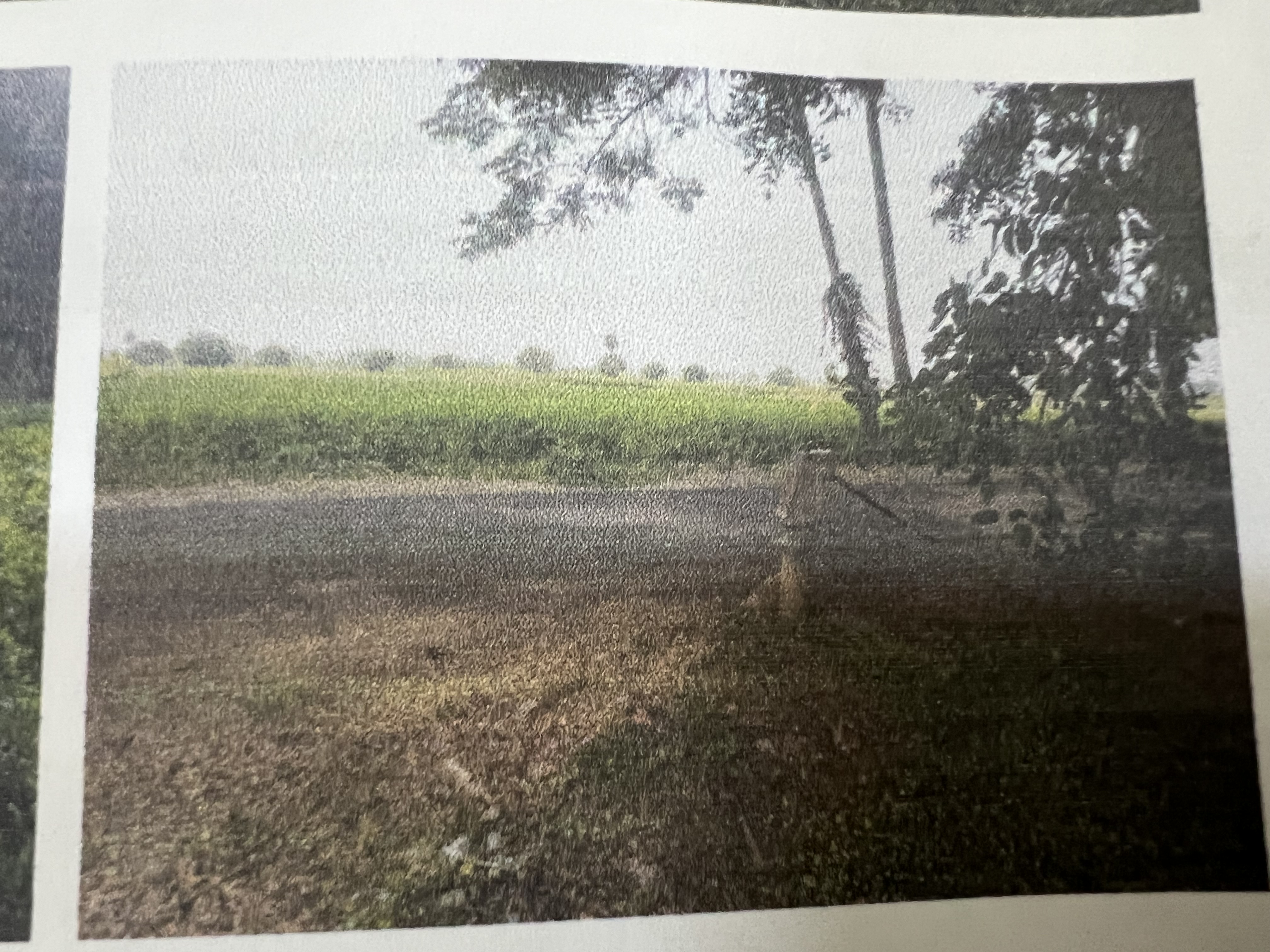 2420 square yard Plot for sale in Ganapavaram Village and Gram panchayat Ganapavaram — photo 1