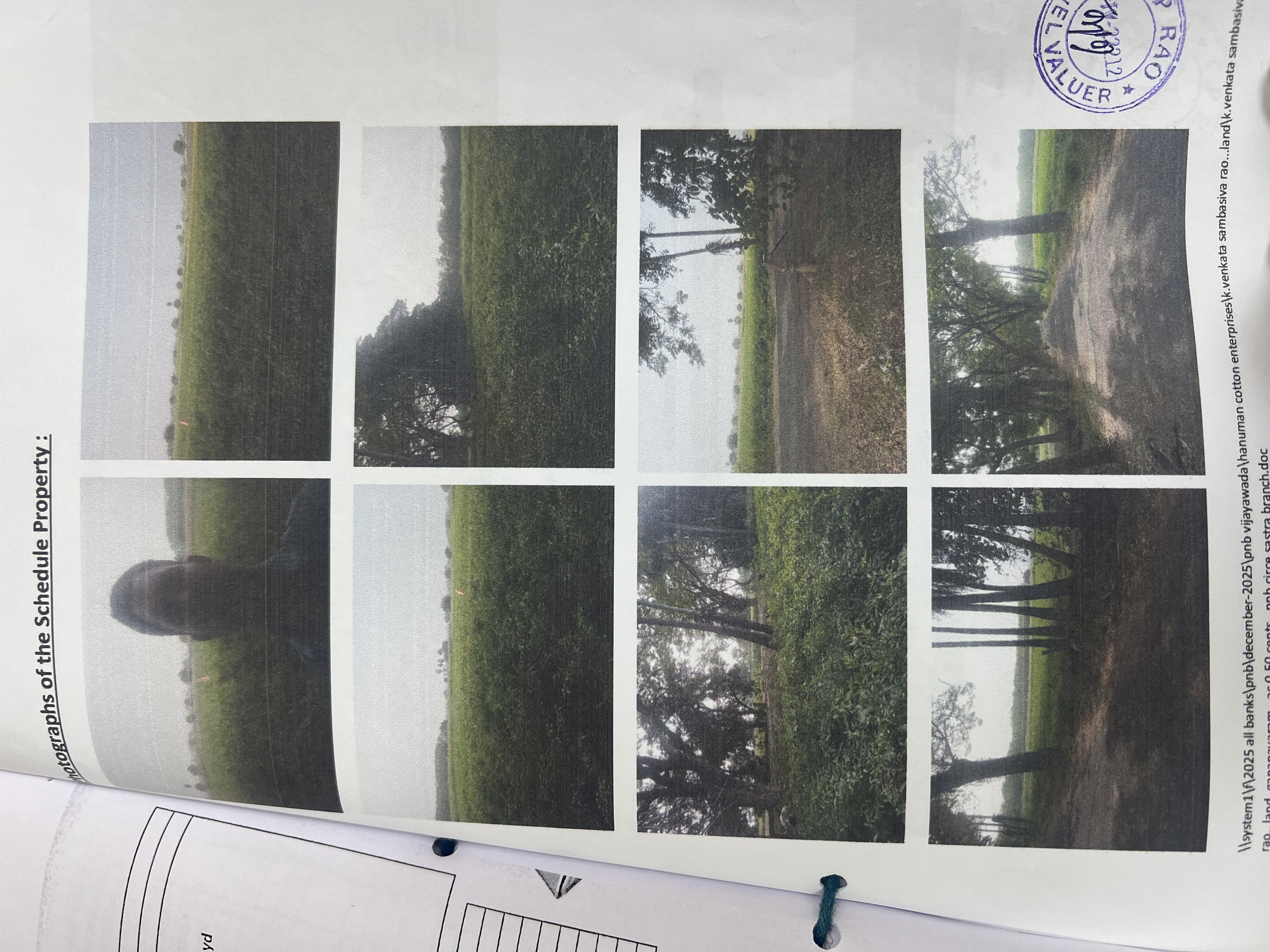 2420 square yard Plot for sale in Ganapavaram Village and Gram panchayat Ganapavaram — photo 2