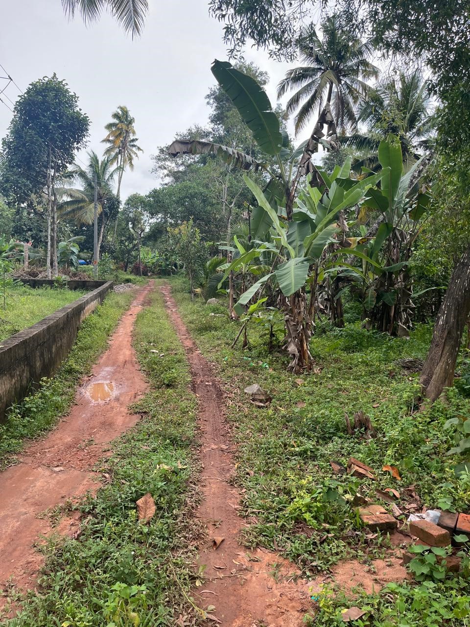 LAND for sale in Varkala — photo 6