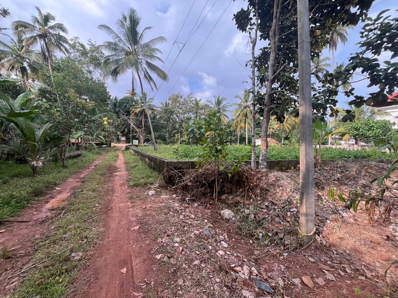 LAND for sale in Varkala — photo 3